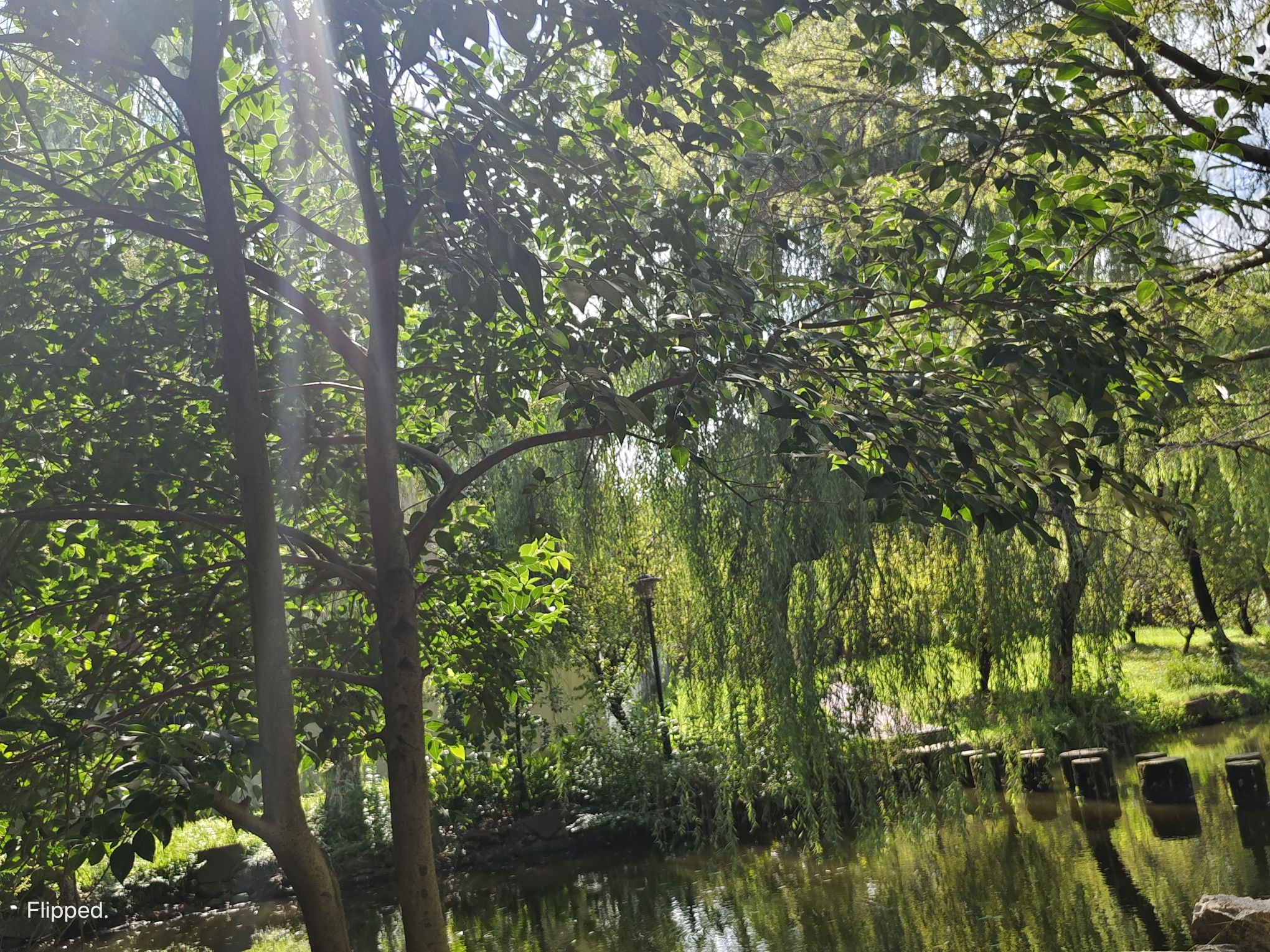 由乐园旅行图片 1