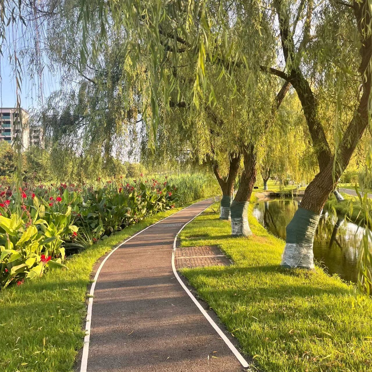 埭溪公园旅行图片 2