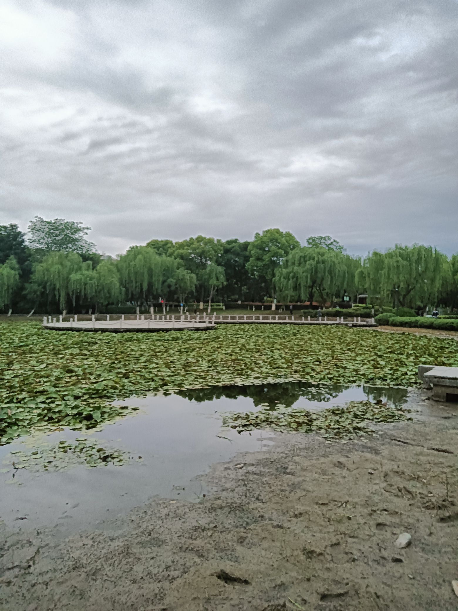 余家漾公园旅行图片 2
