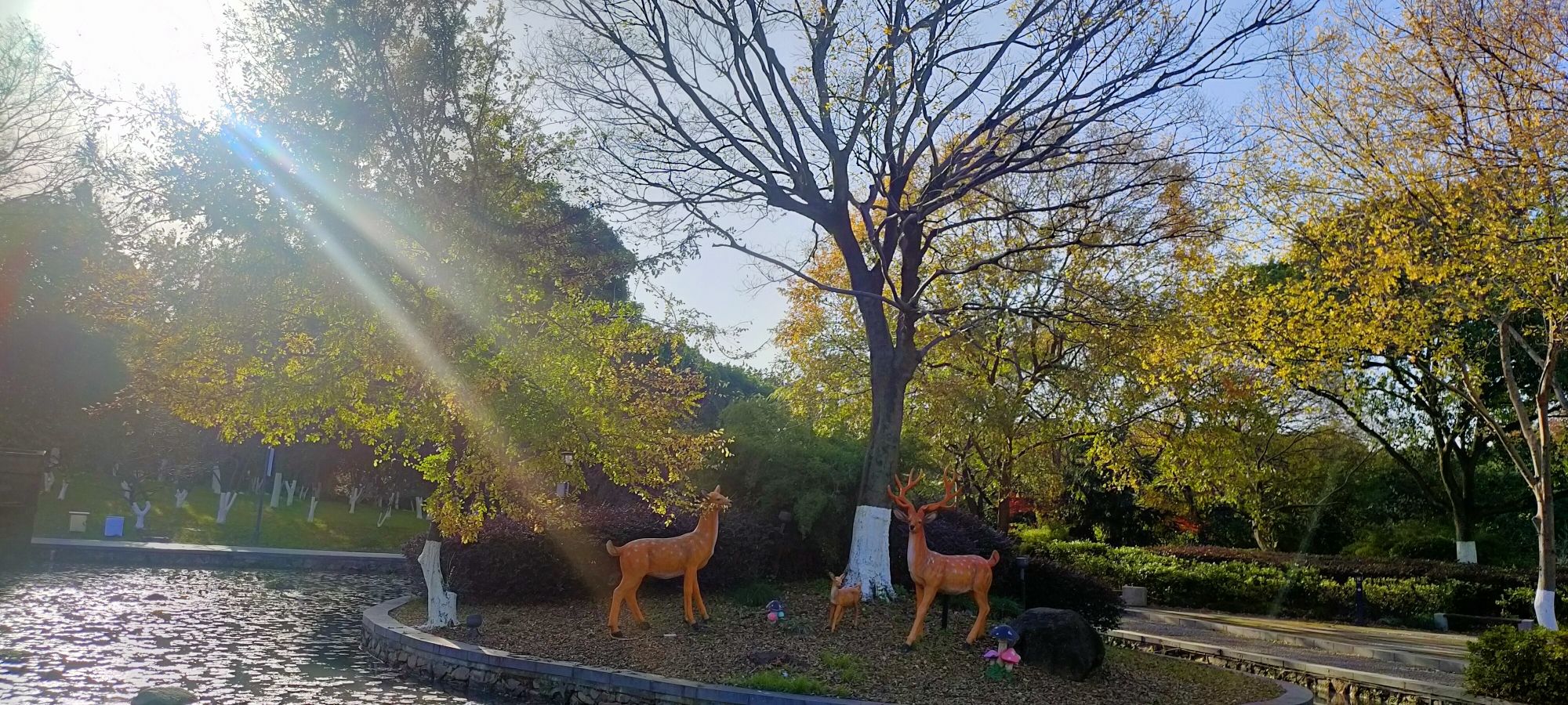 余家漾公园旅行图片 1