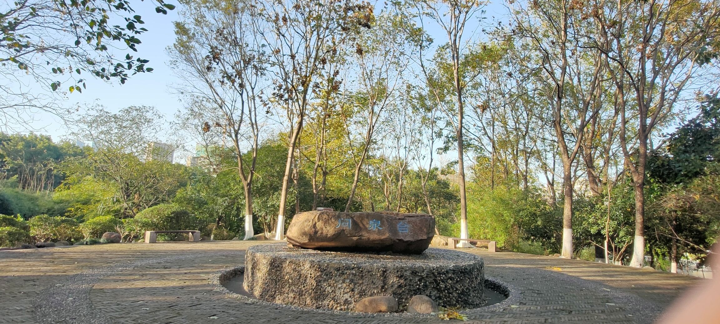 余家漾公园旅行图片 2