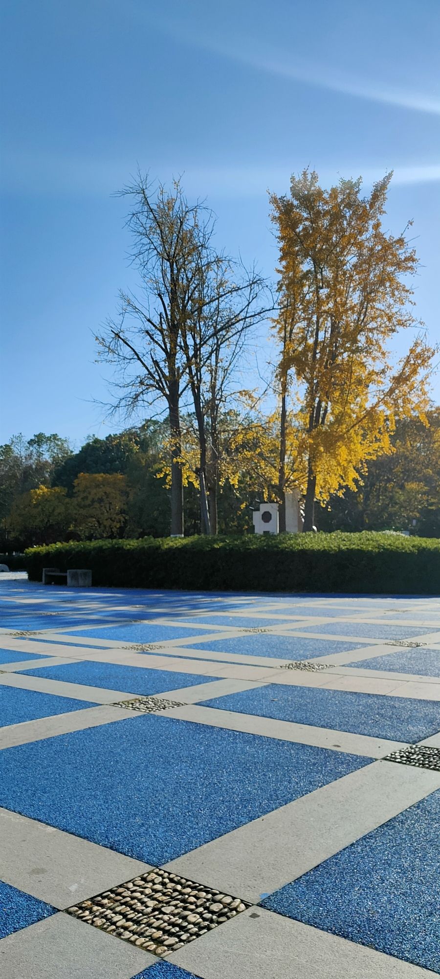 余家漾公园旅行图片 3