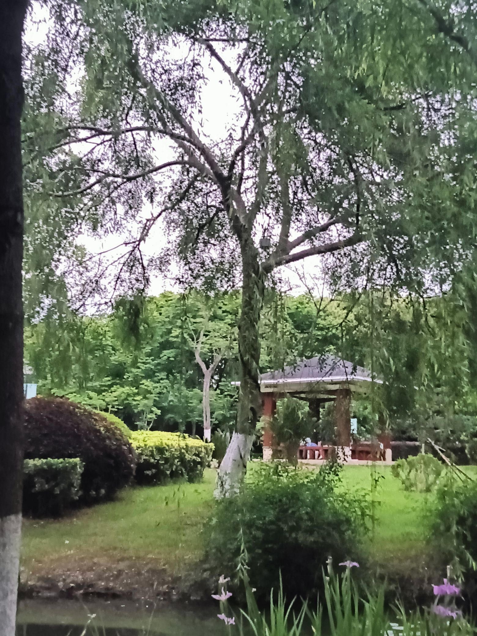 余家漾公园旅行图片 3