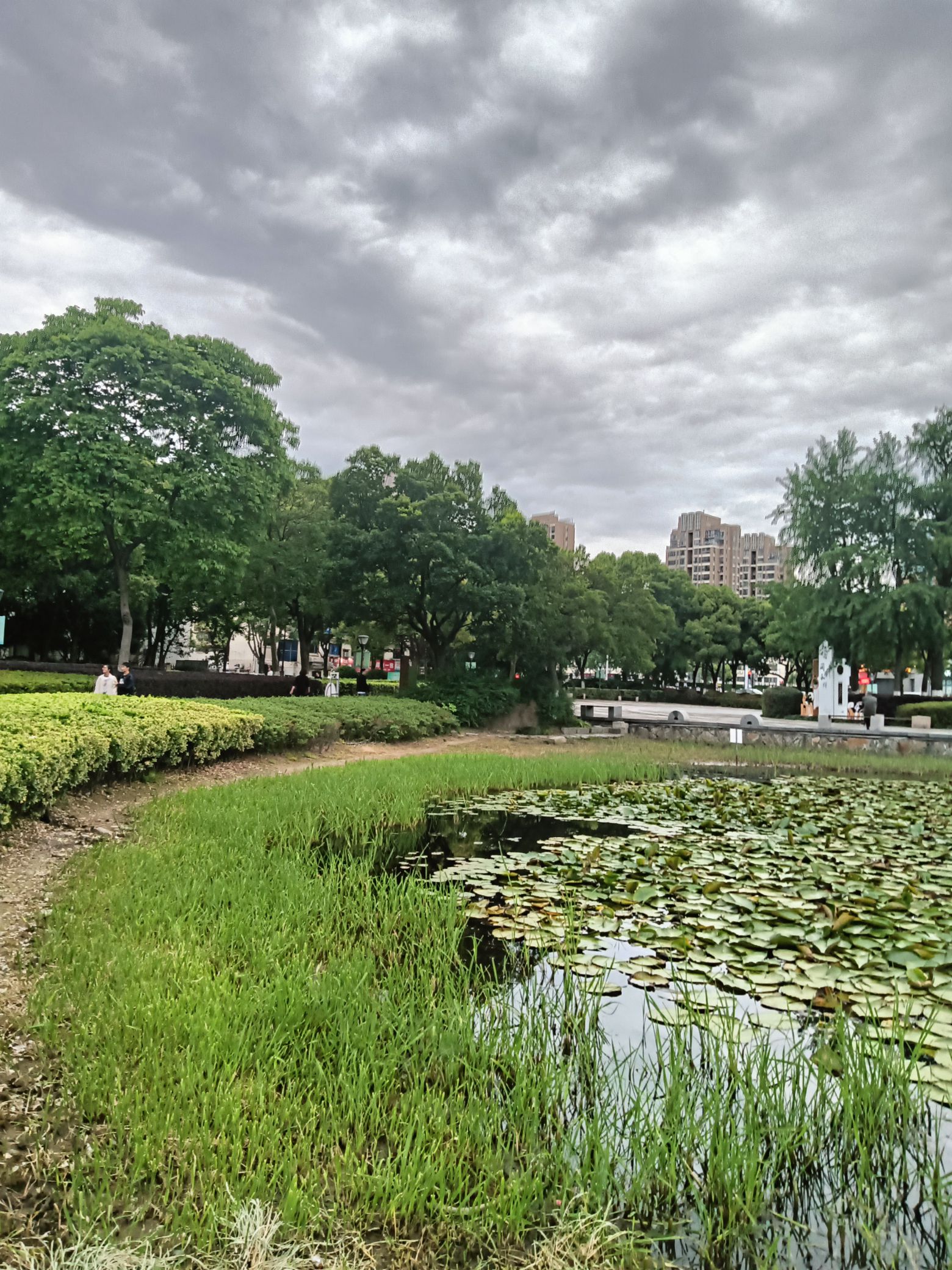余家漾公园旅行图片 1