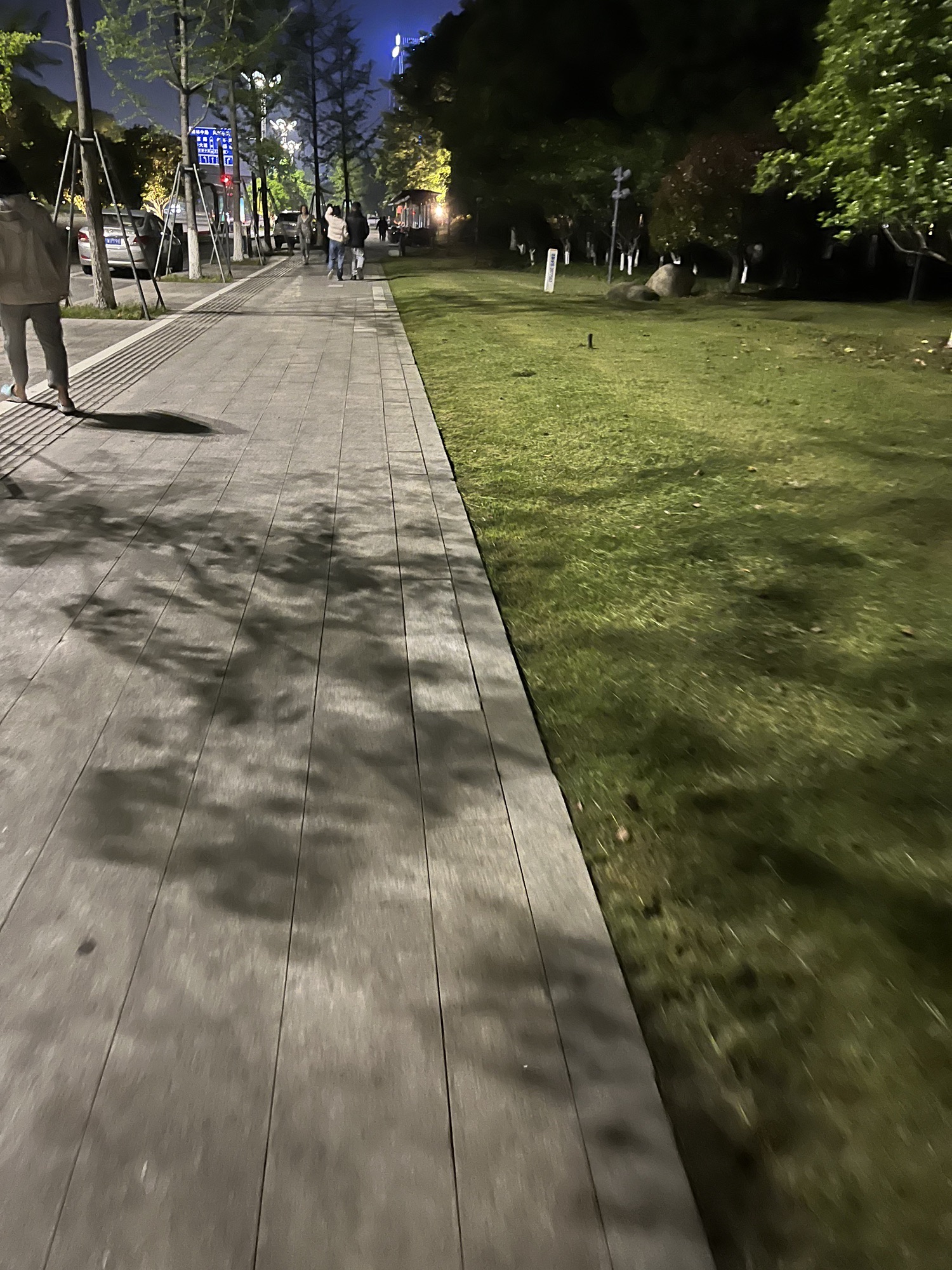 金象湖公园旅行图片 1