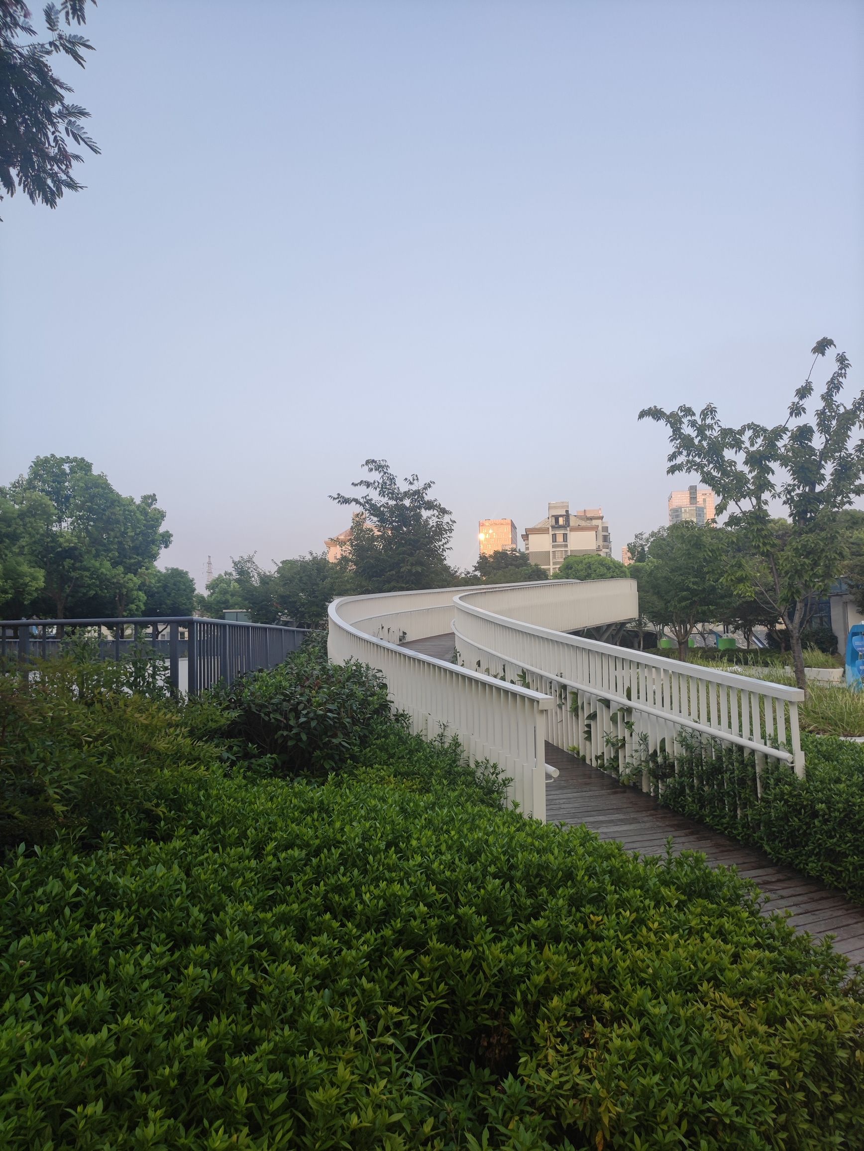 秀洲公园旅行图片 1