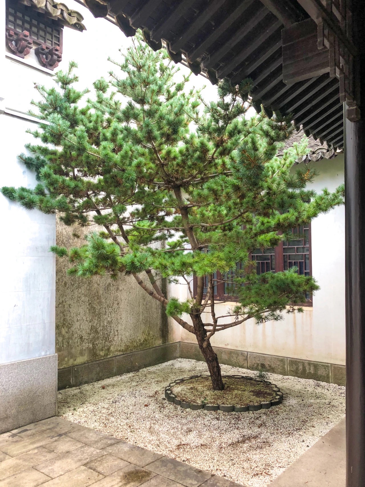 金庸故居旅行图片 3