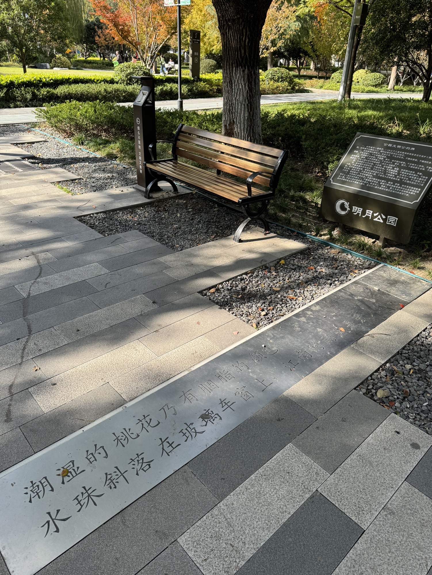 明月公园旅行图片 2