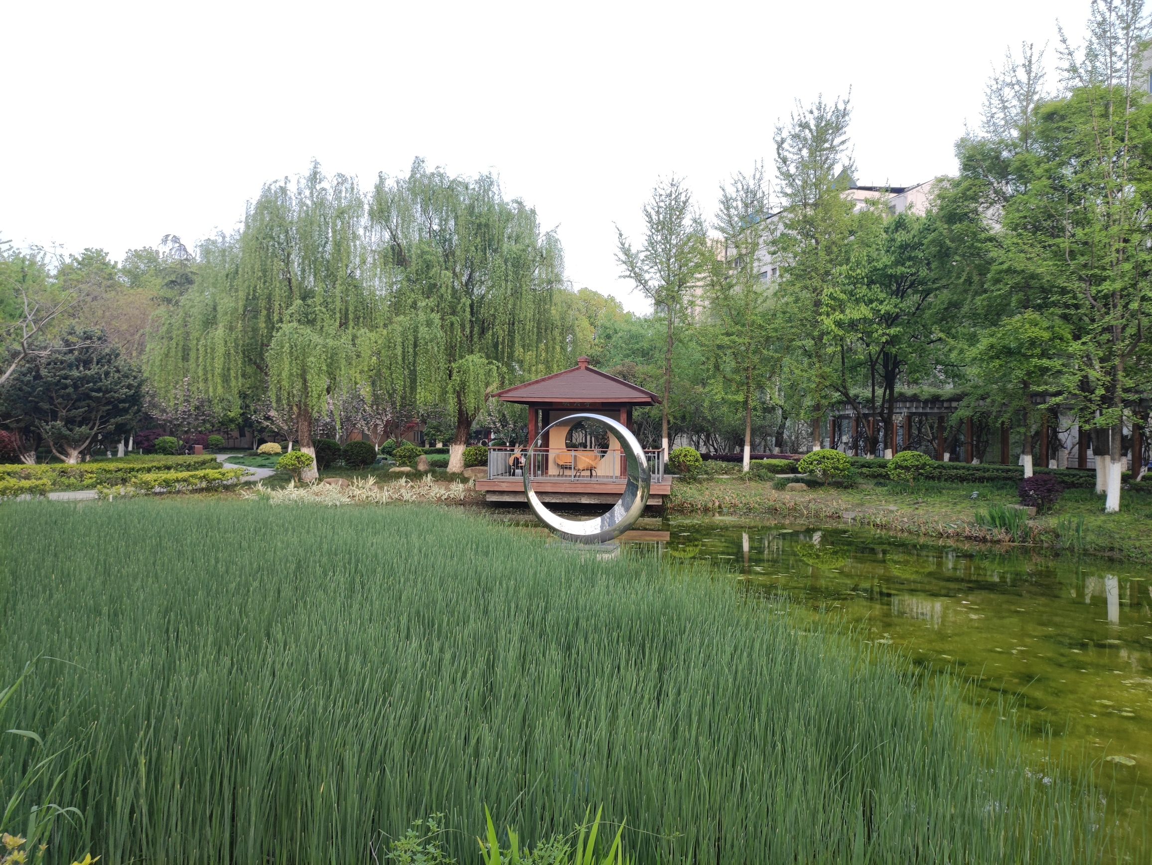 明月公园旅行图片 2