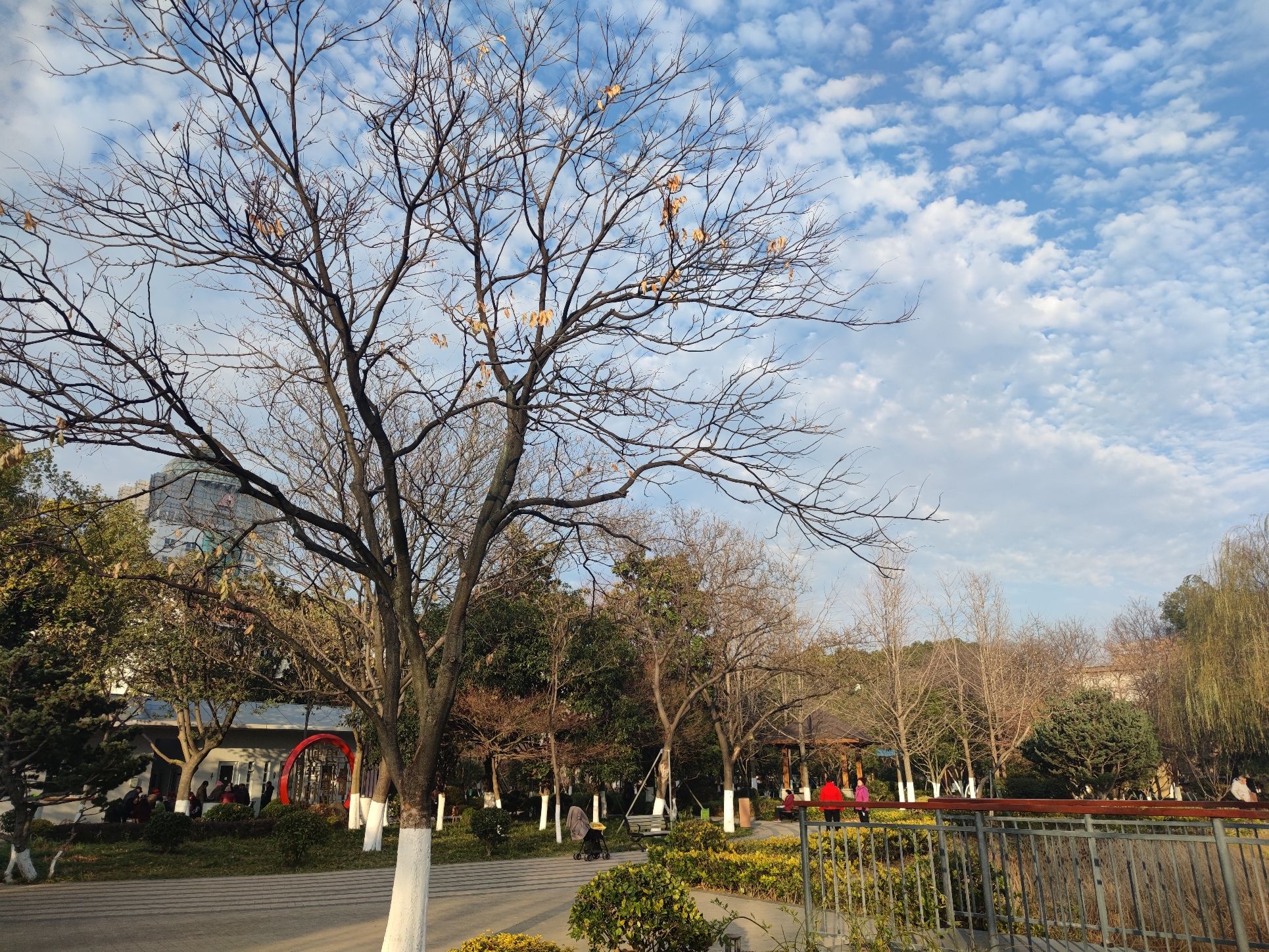 明月公园旅行图片 3