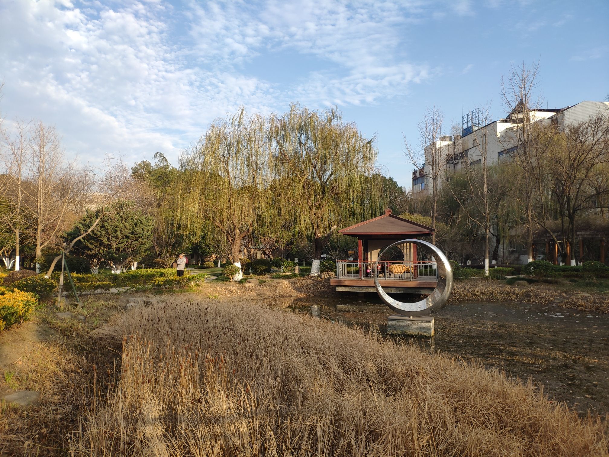 明月公园旅行图片 1