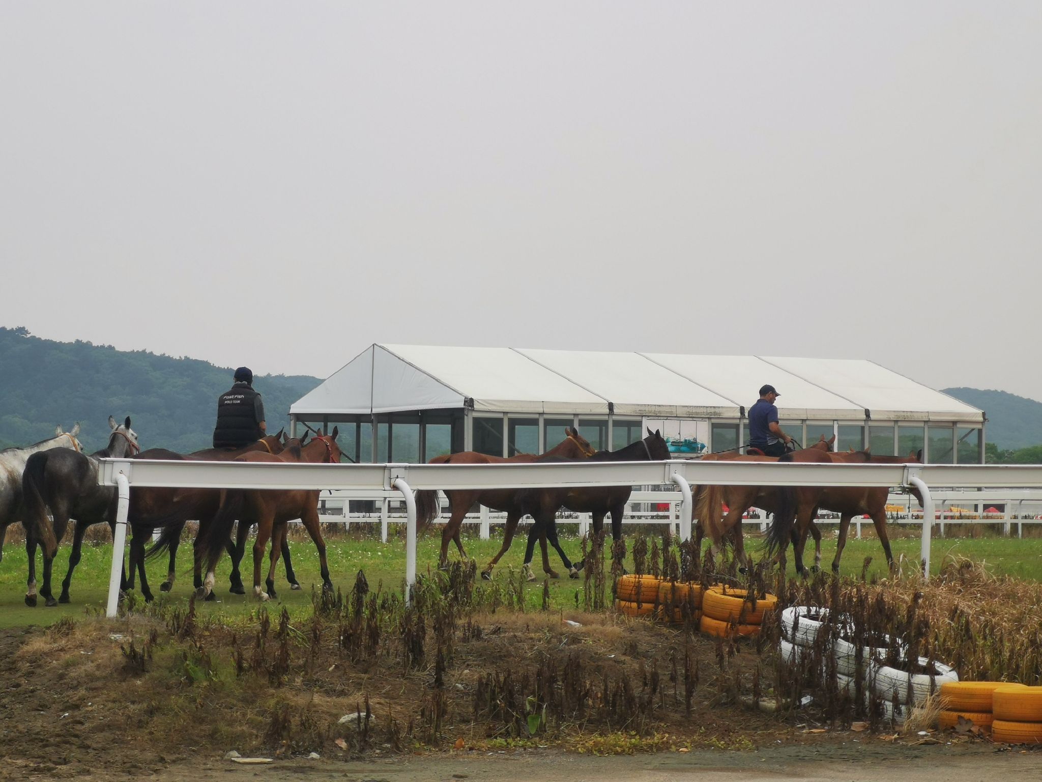 九龙山旅游度假区旅行图片 2