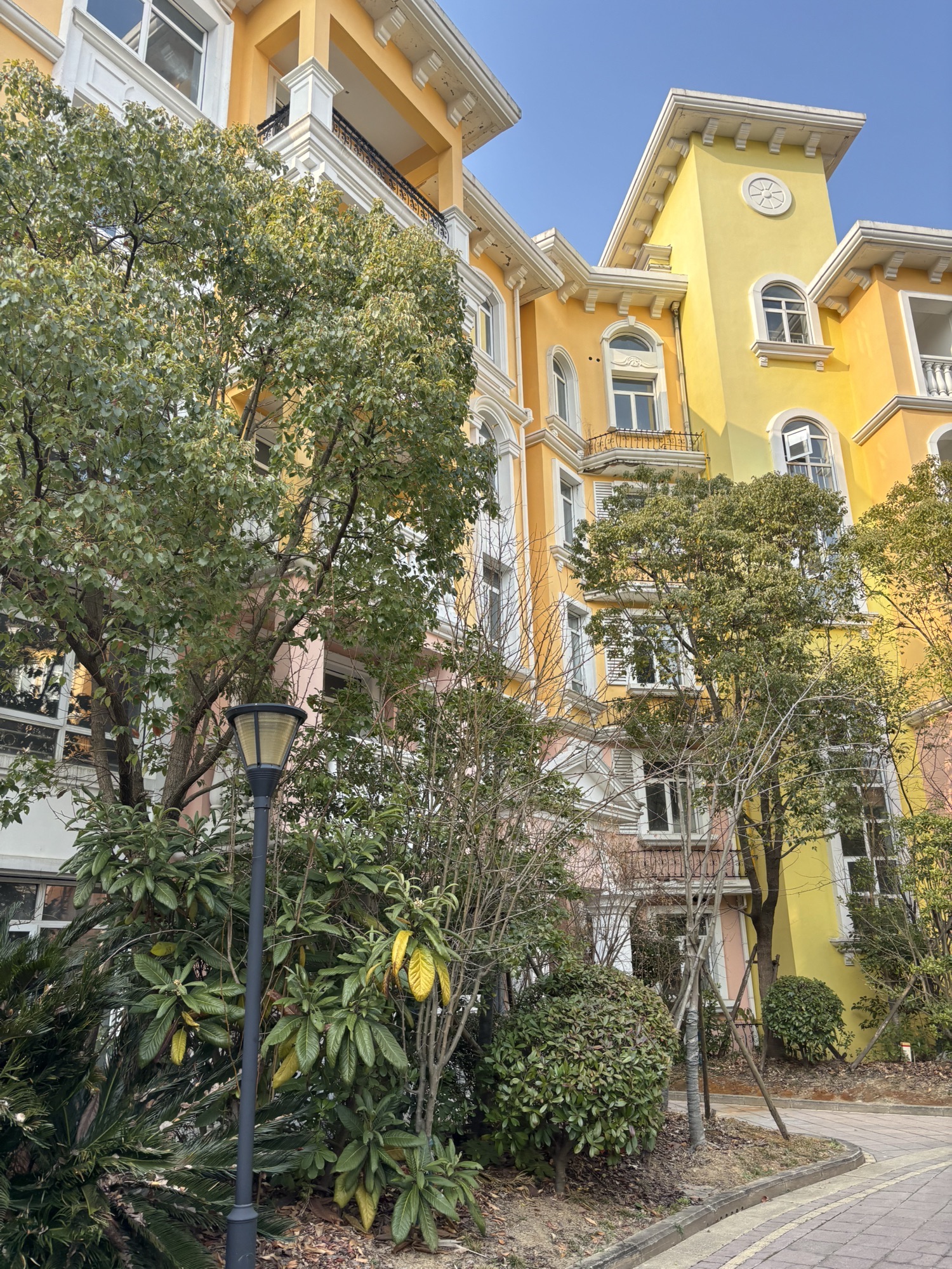 九龙山旅游度假区旅行图片 3