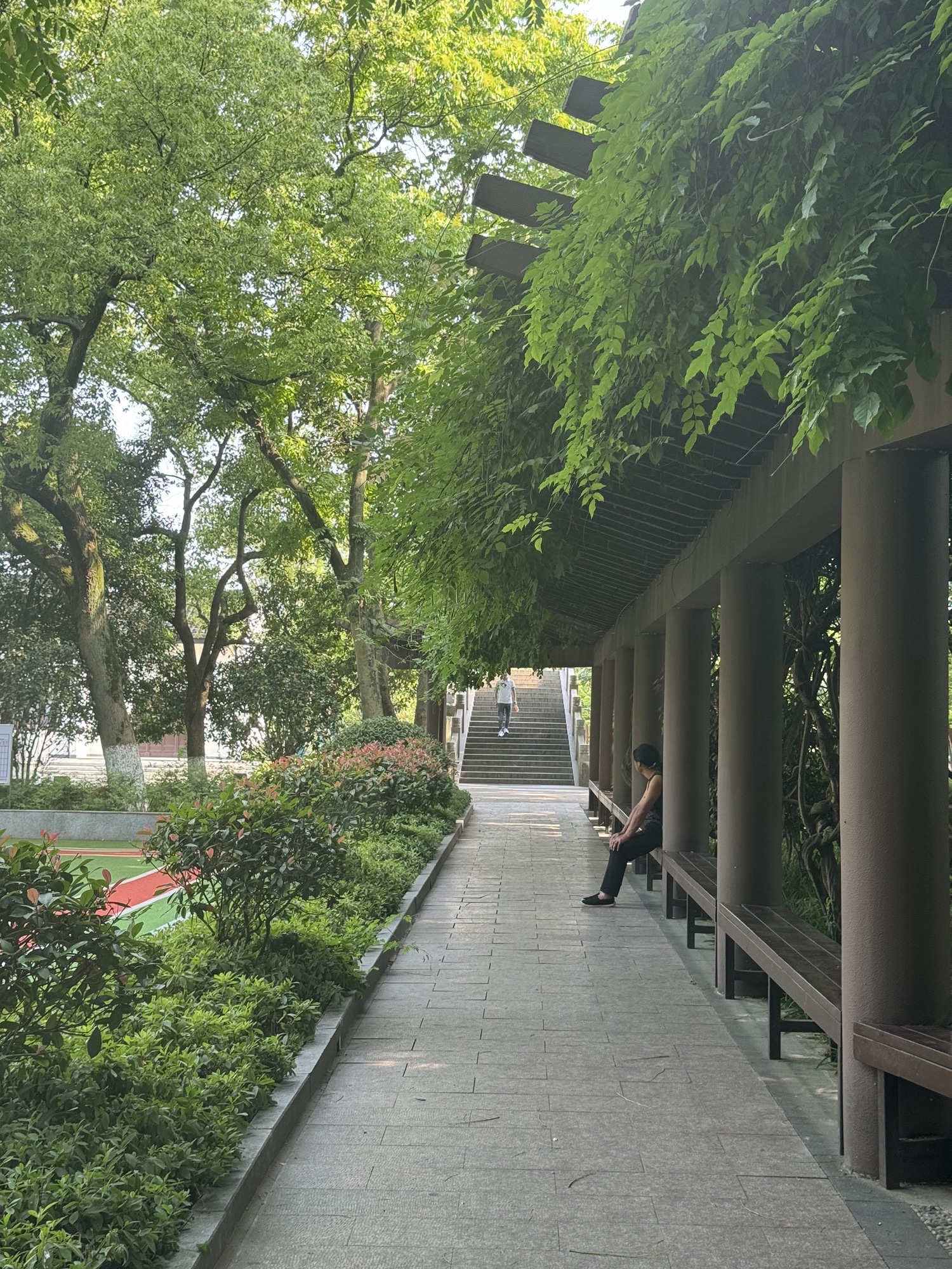 小蓬莱公园旅行图片 3