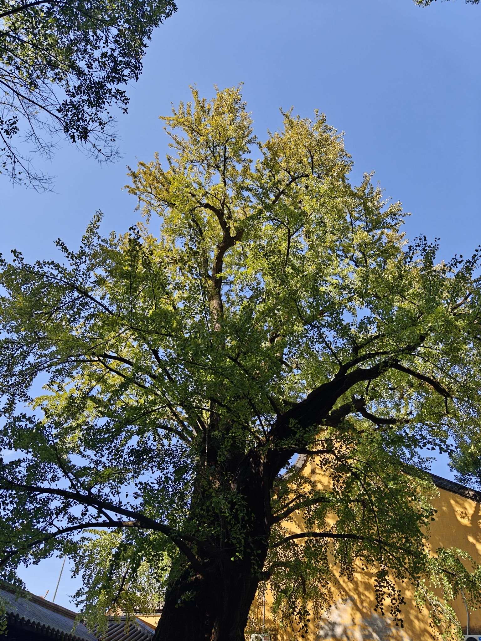 小蓬莱公园旅行图片 1