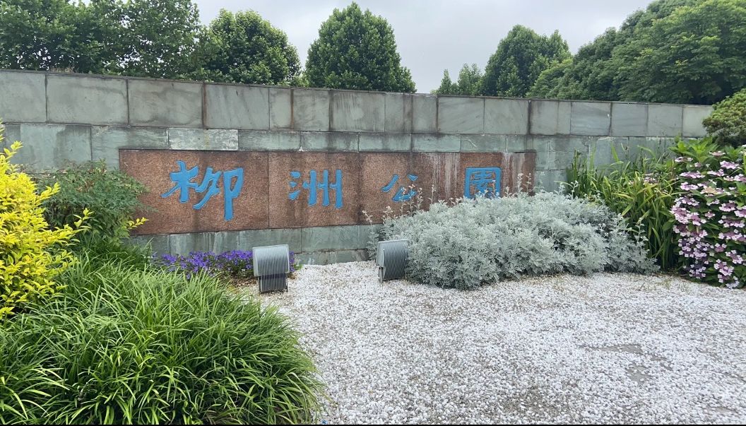 柳洲公园