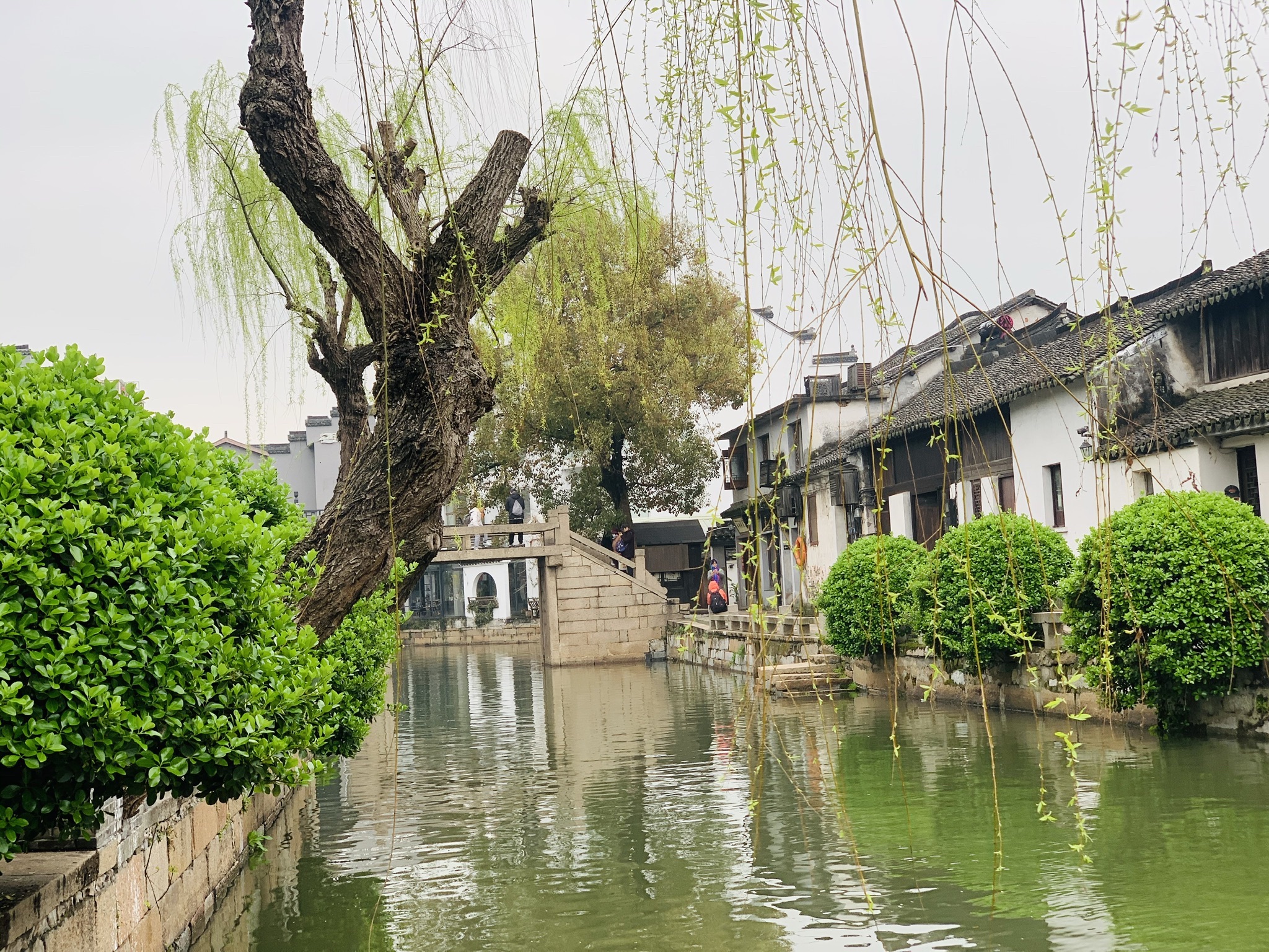 西塘古镇旅行图片 2