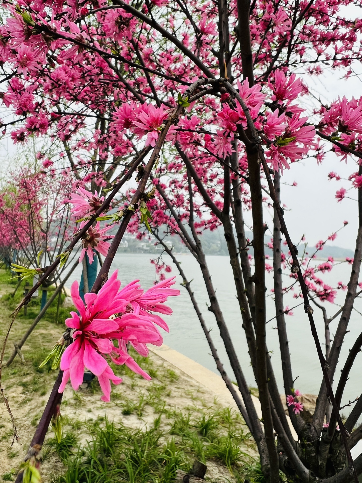 南北湖风景名胜区旅行图片 3