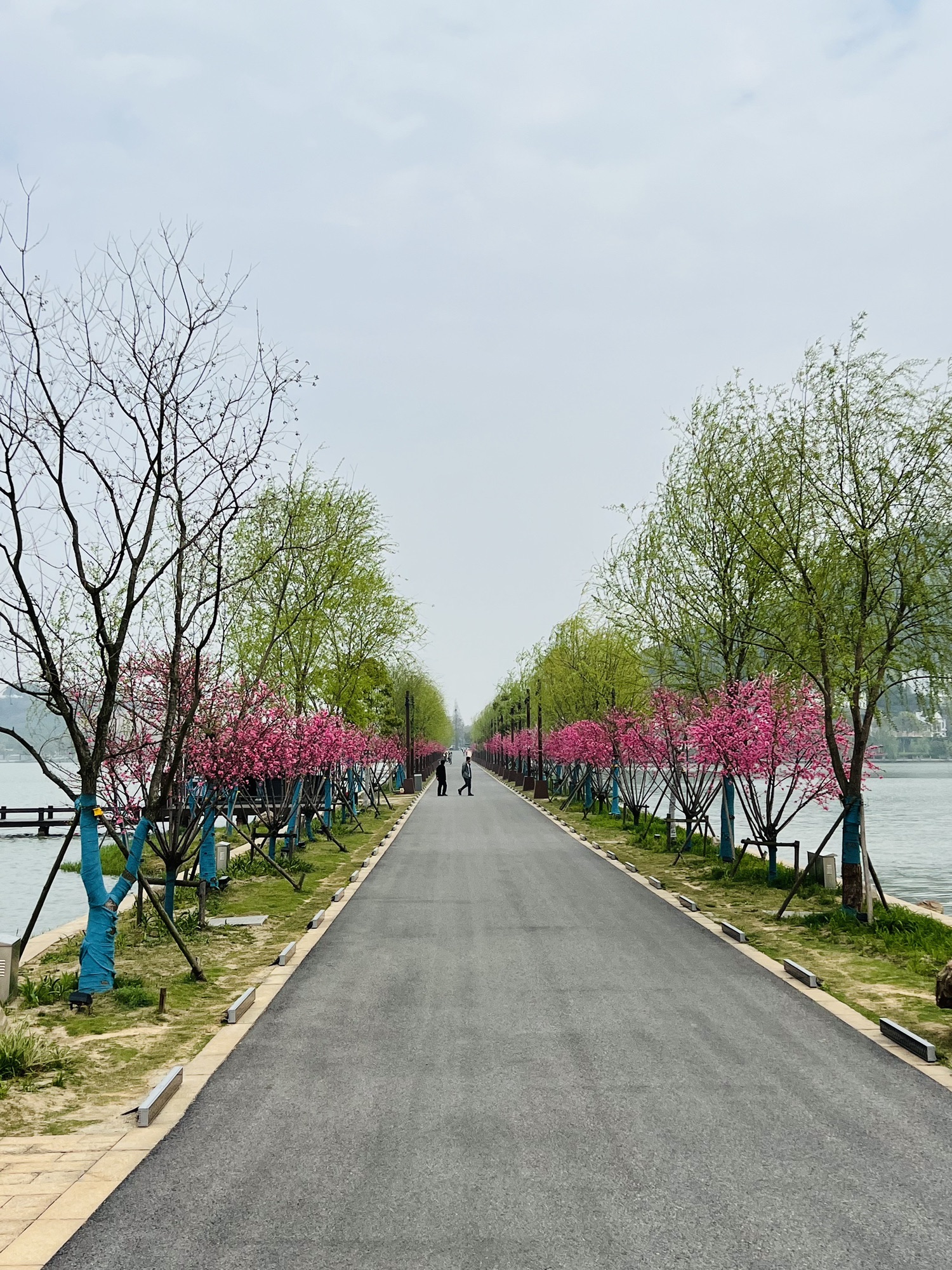 南北湖风景名胜区旅行图片 2