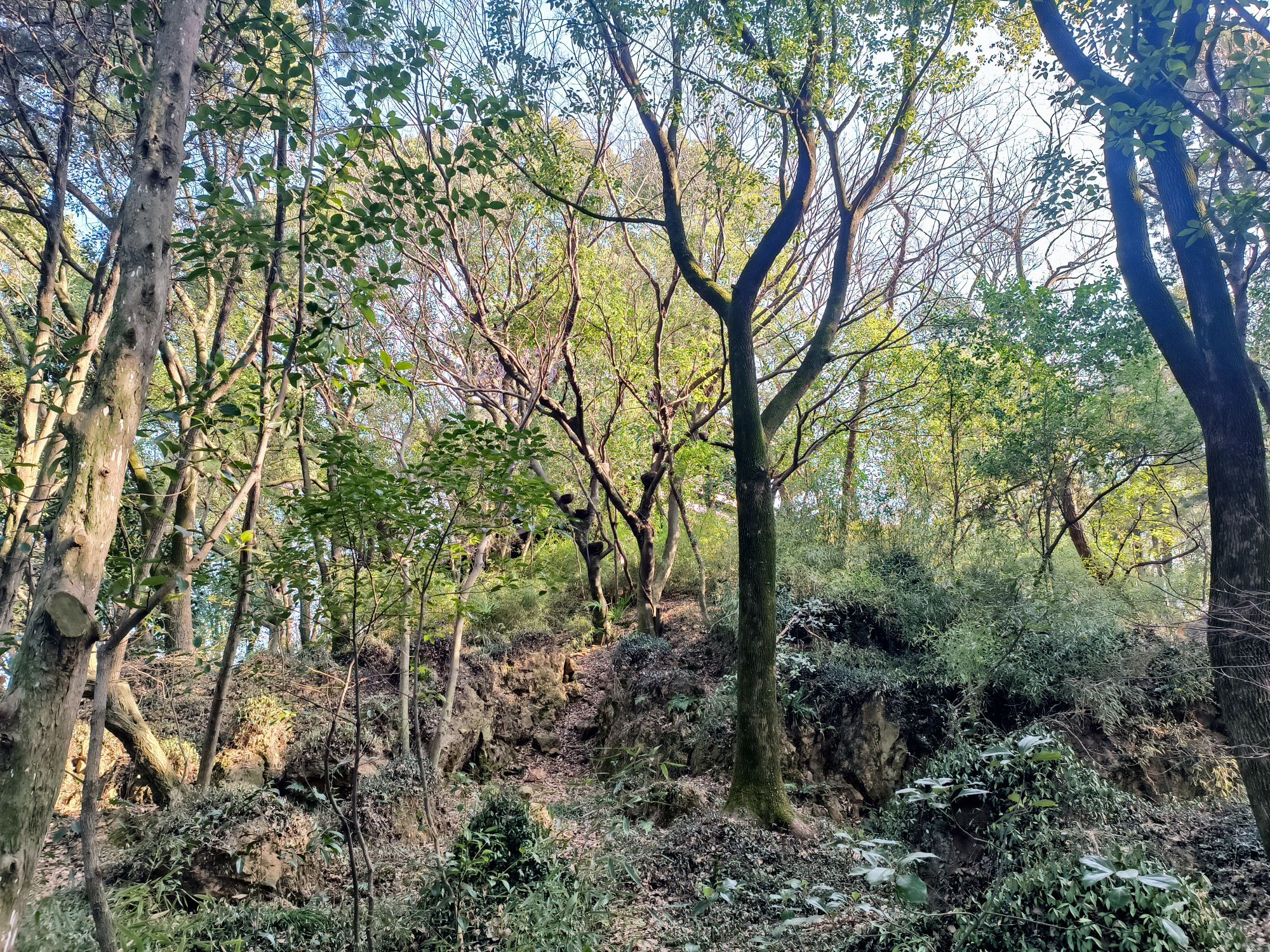 西山公园旅行图片 2