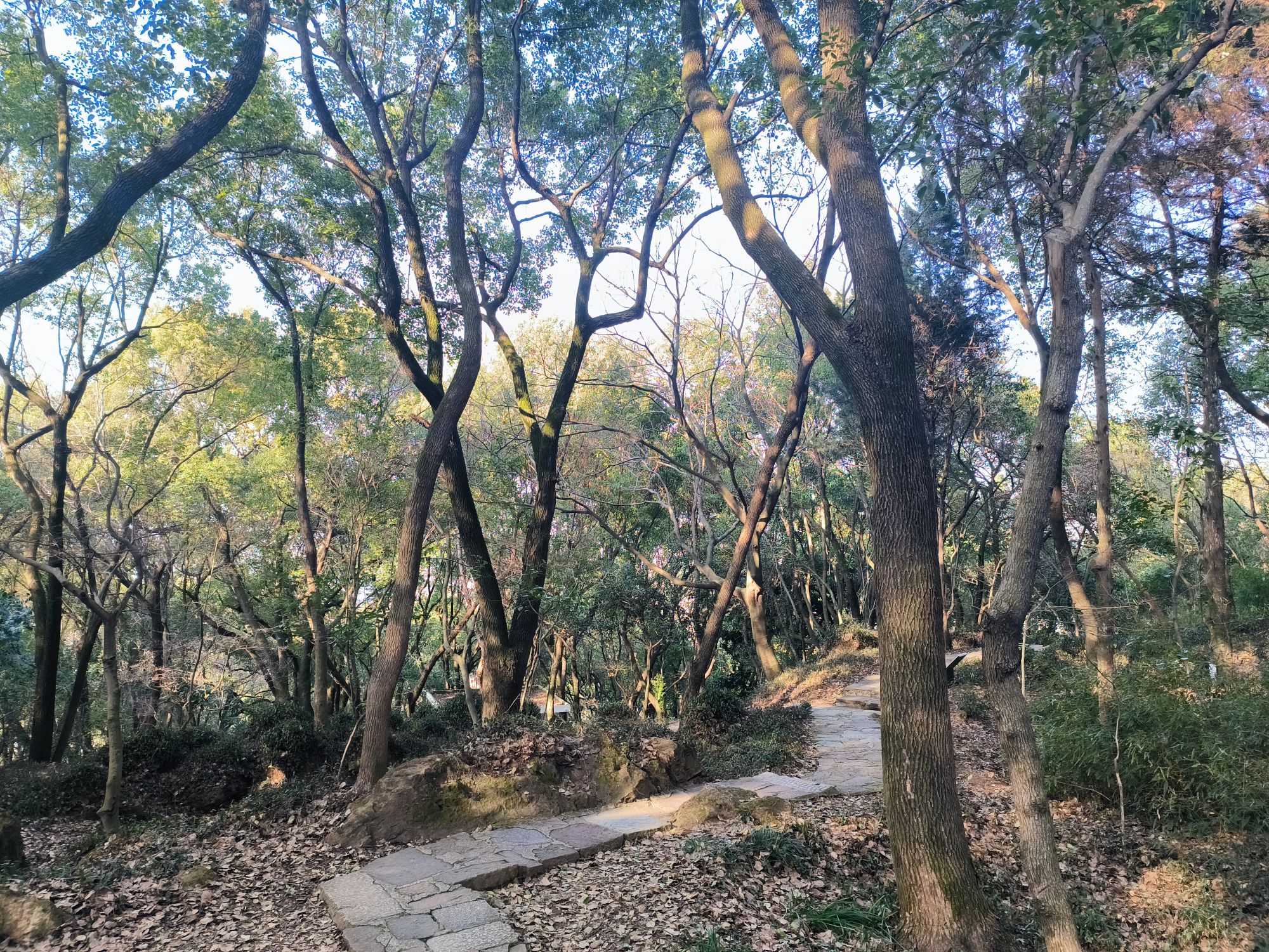 西山公园旅行图片 3