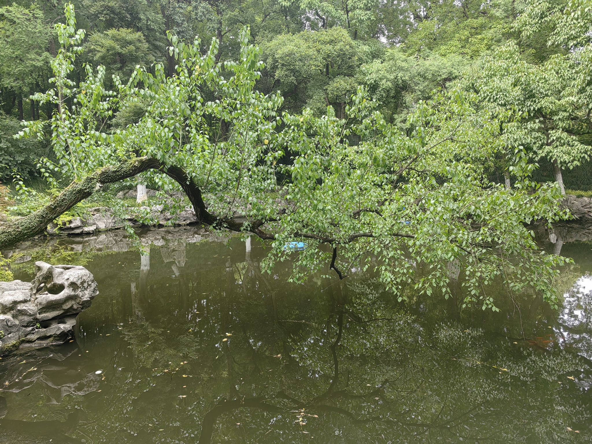 人民公园旅行图片 2