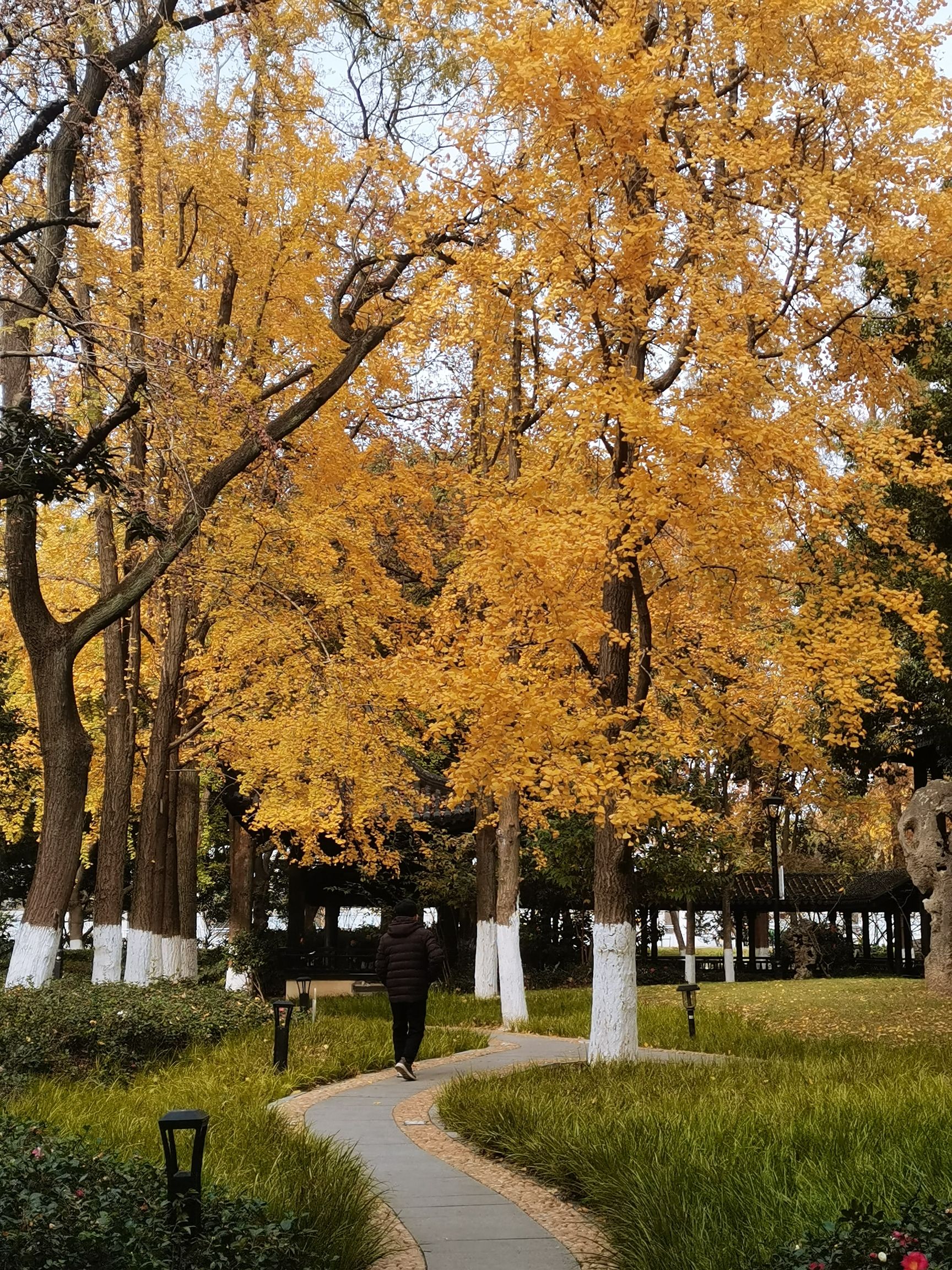 人民公园旅行图片 3
