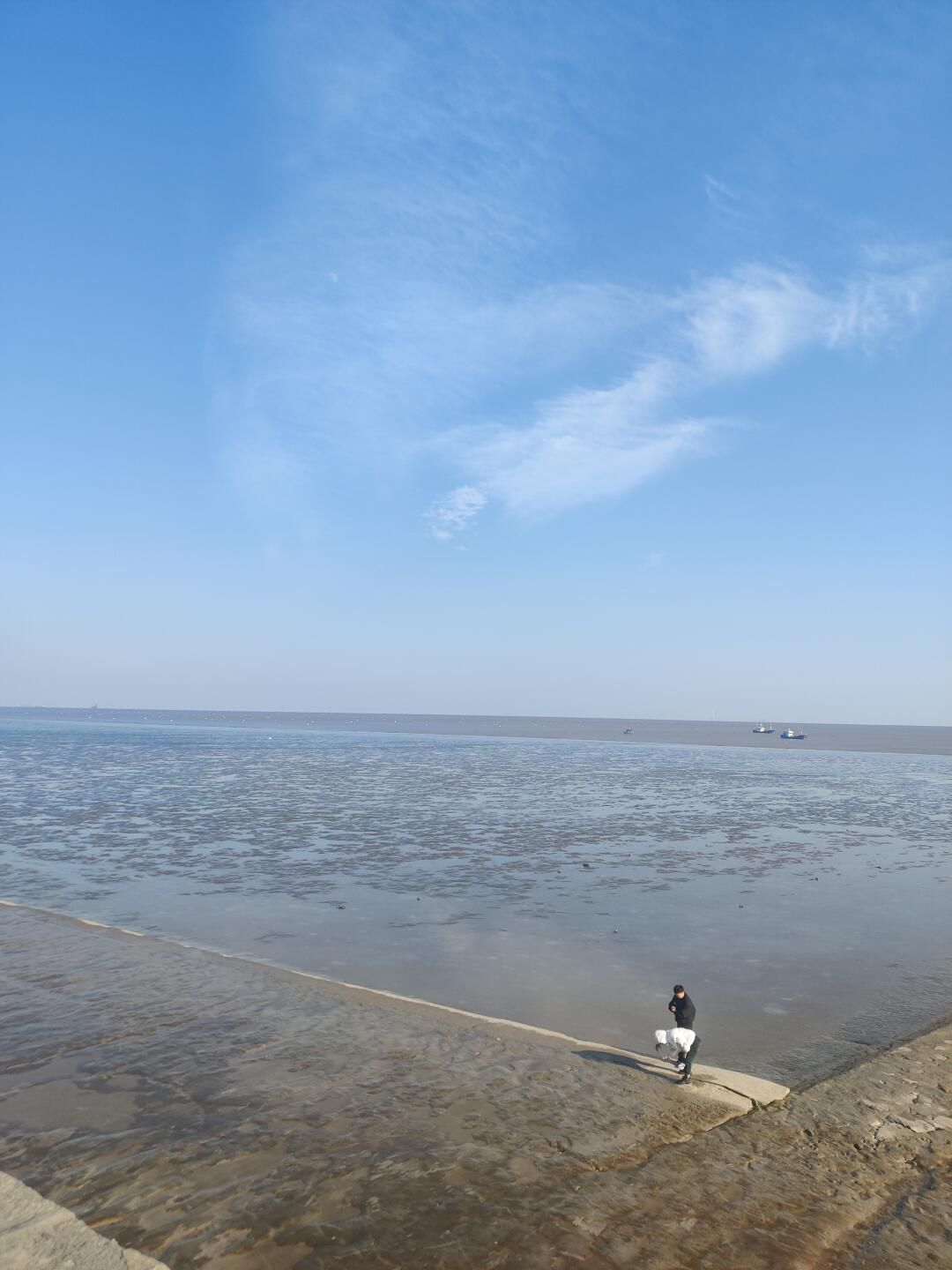 观海园旅行图片 1