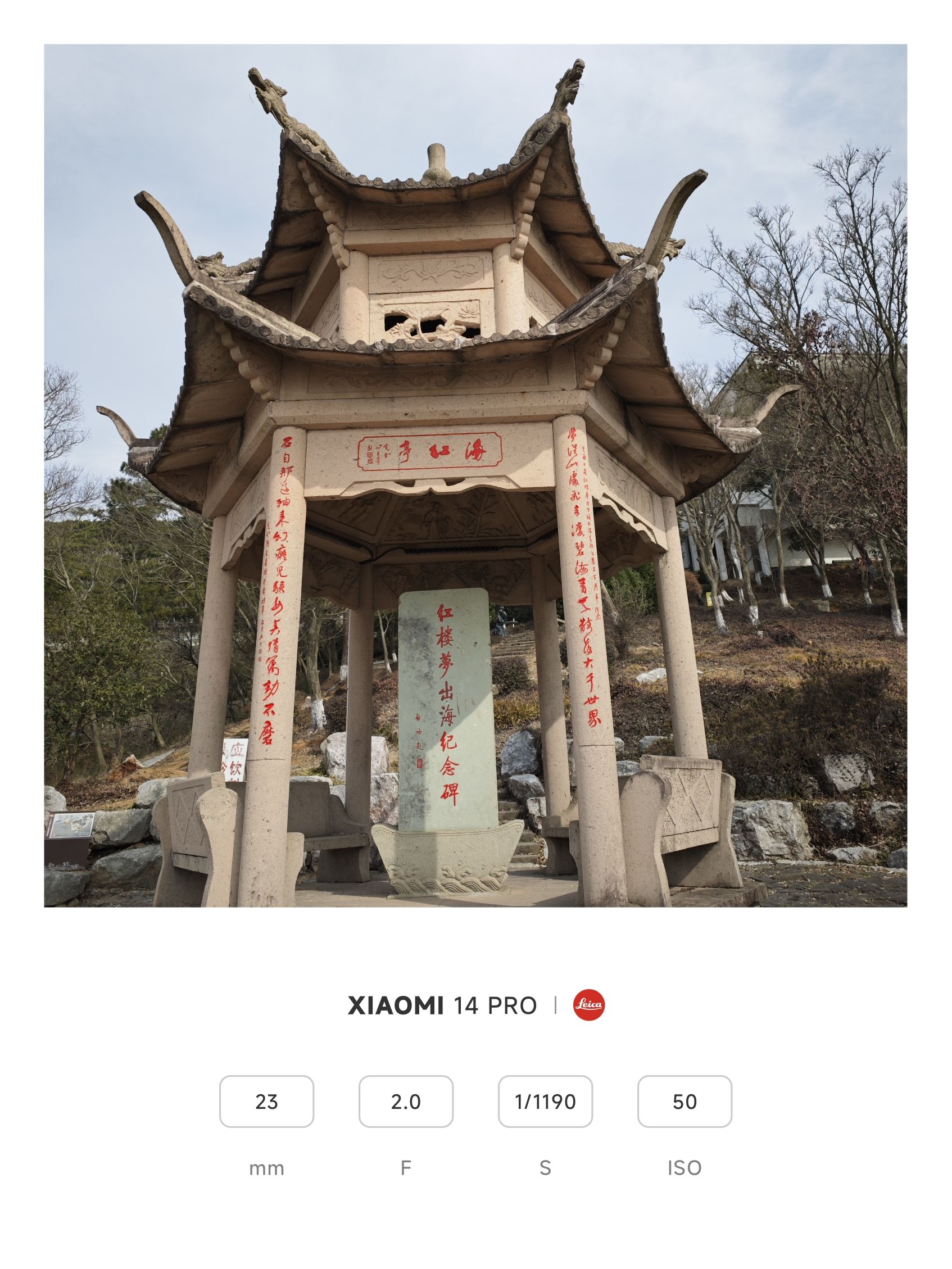 九龙山国家森林公园旅行图片 1