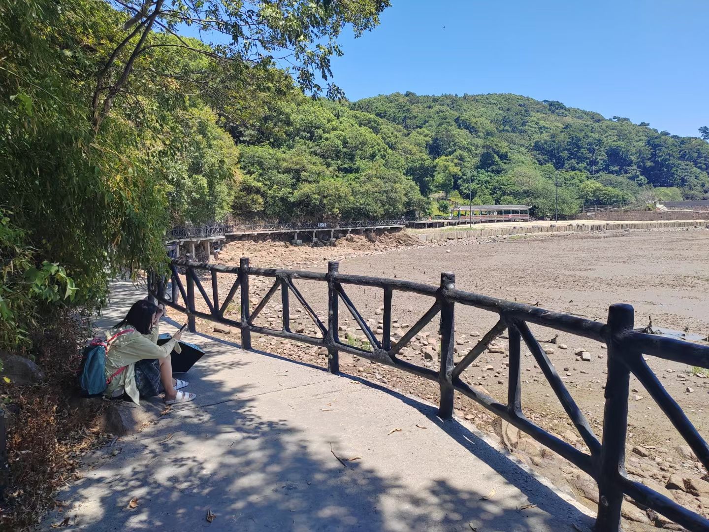 九龙山国家森林公园旅行图片 1