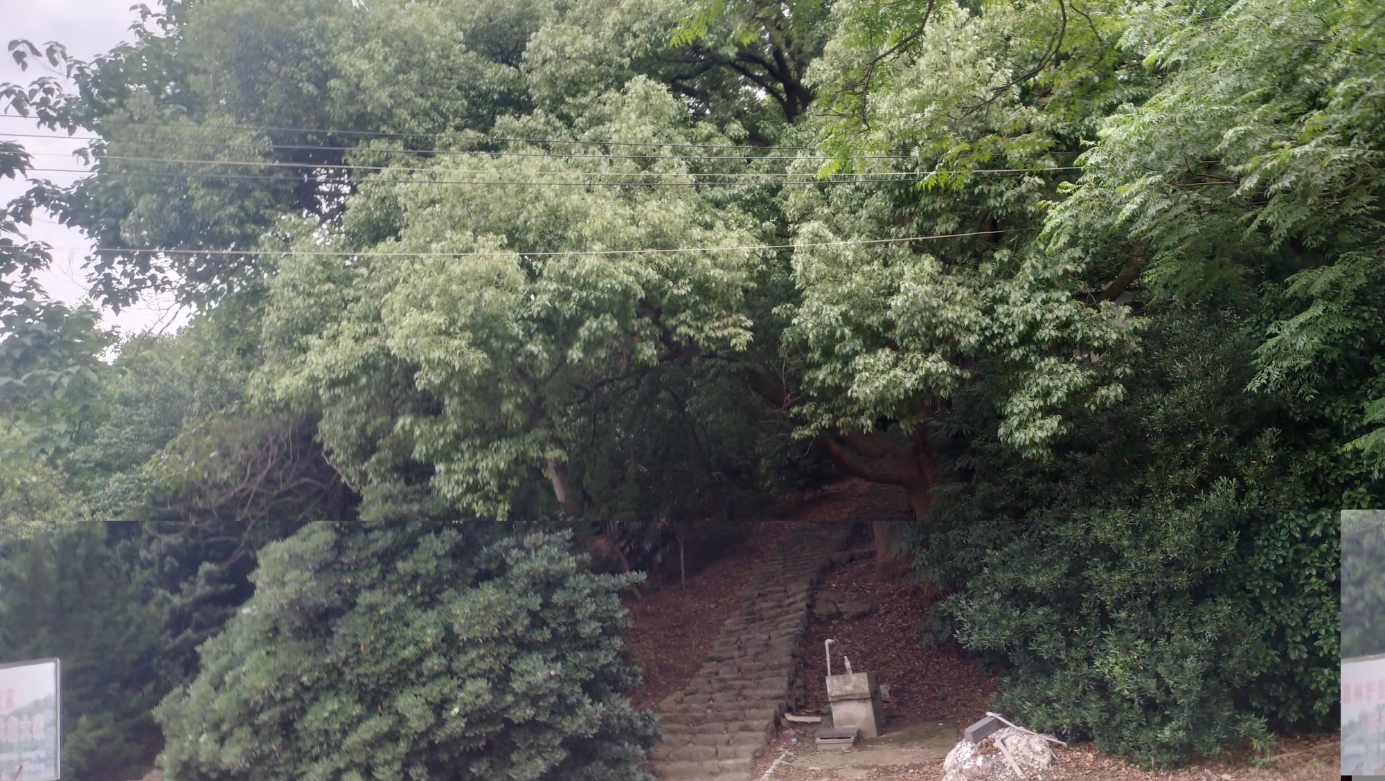 瓦山十景旅行图片 3