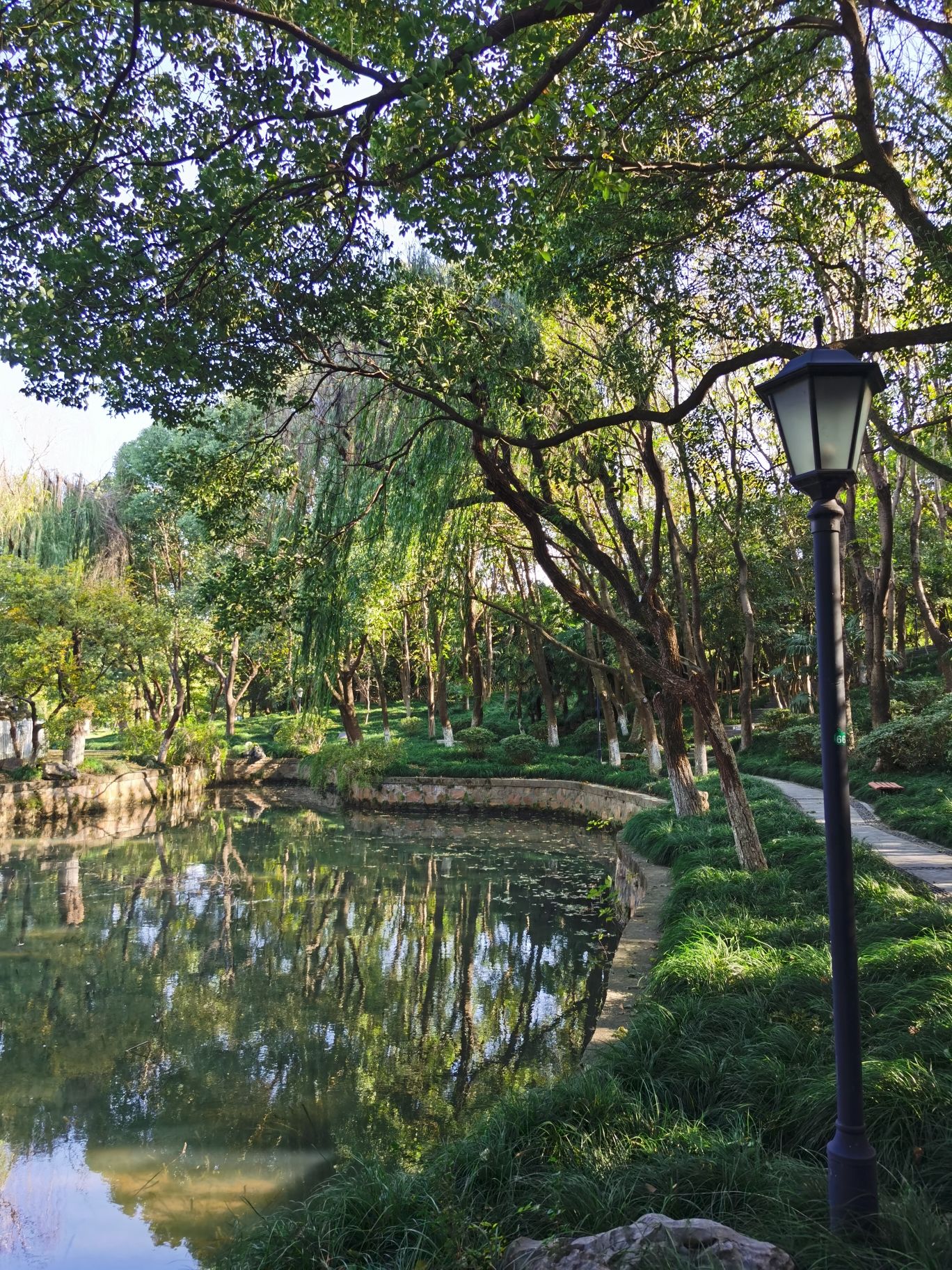 当湖公园旅行图片 3