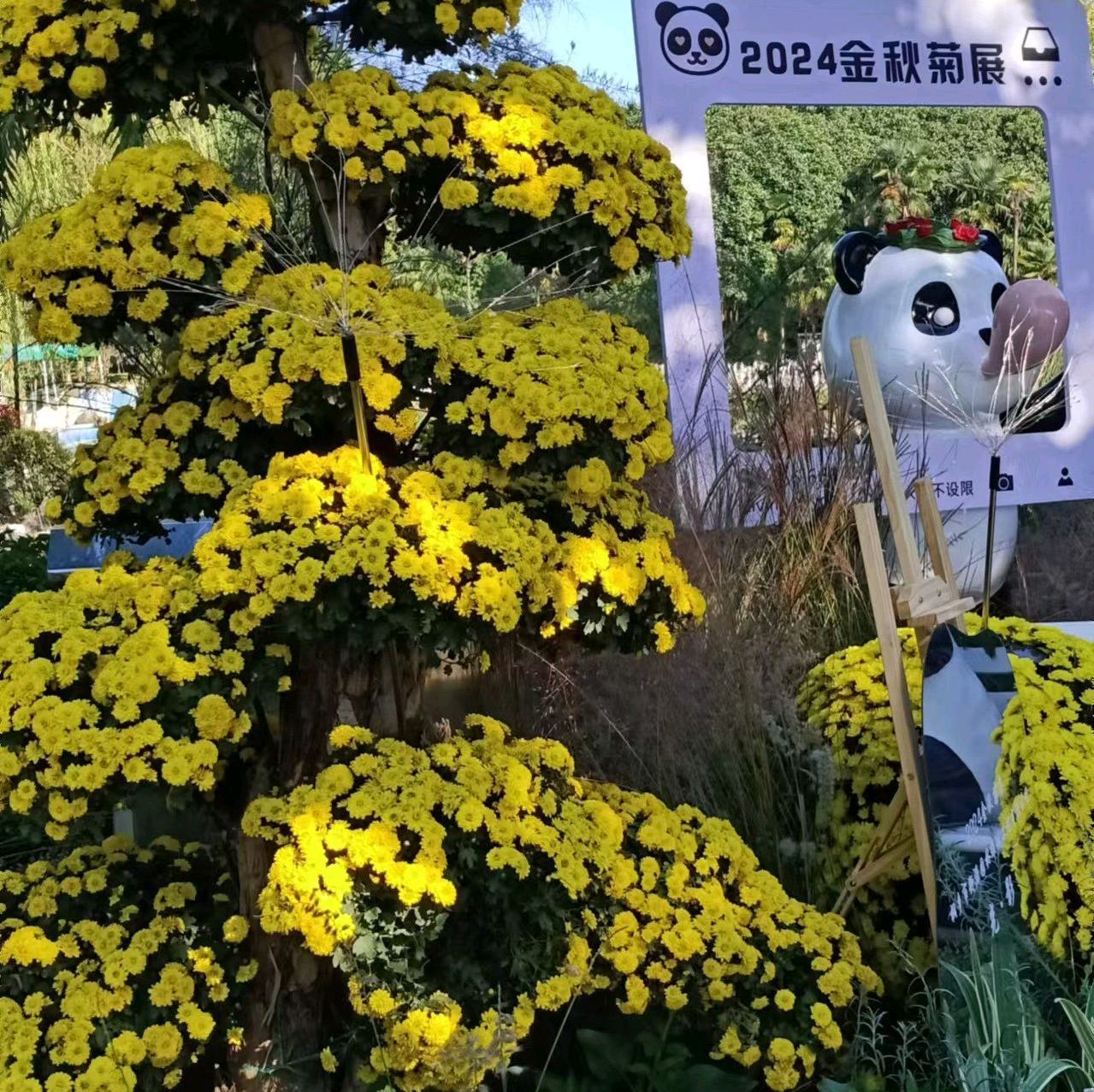 新世纪公园旅行图片 1