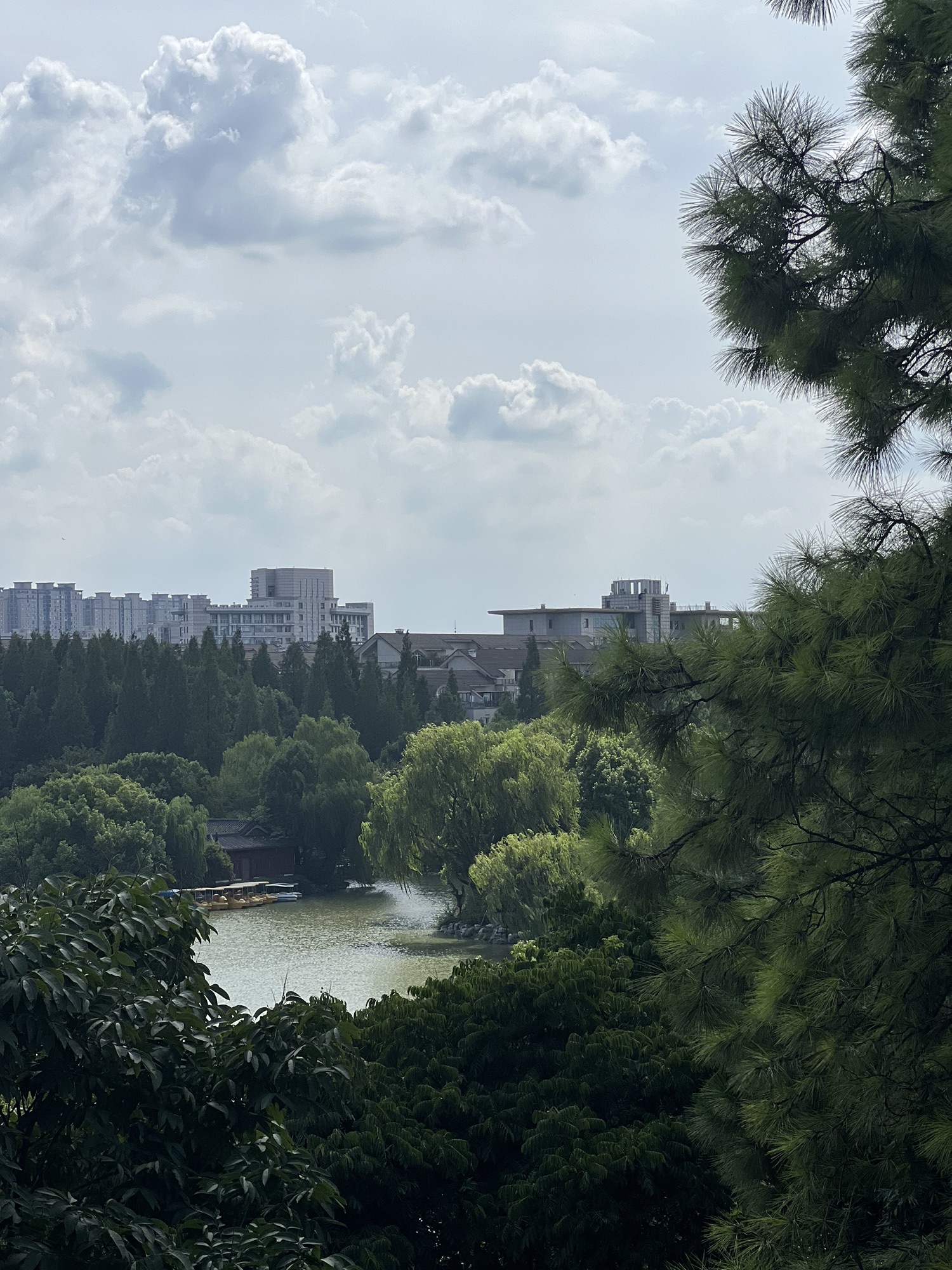新世纪公园旅行图片 2