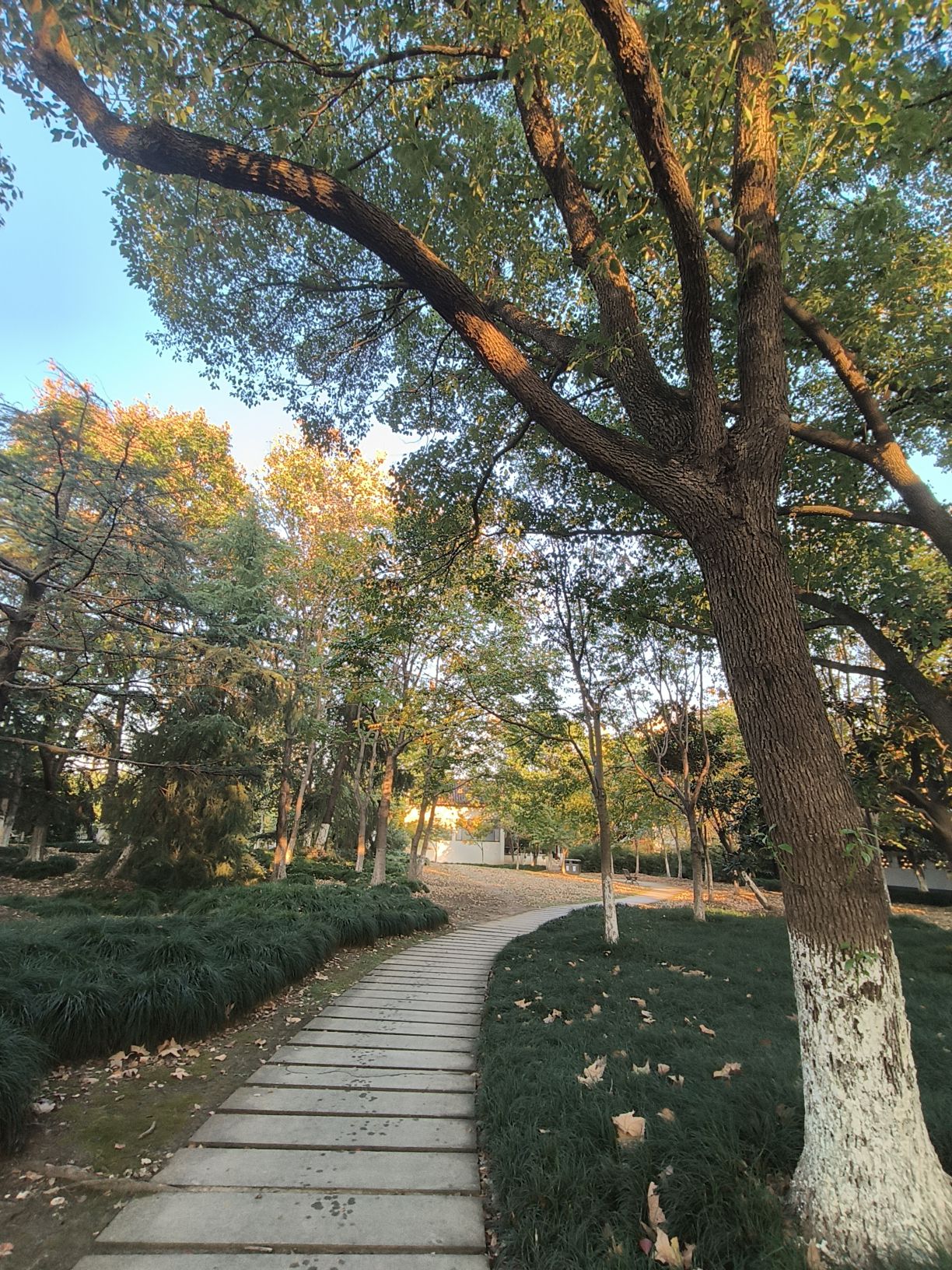 新世纪公园旅行图片 3