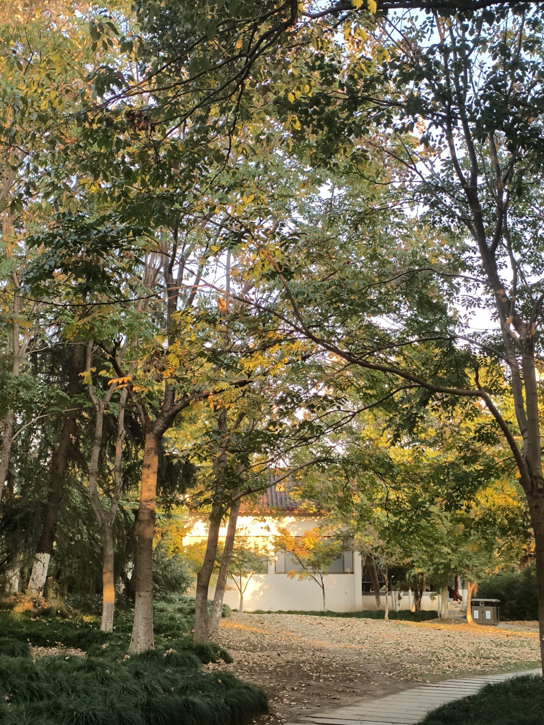 新世纪公园旅行图片 2