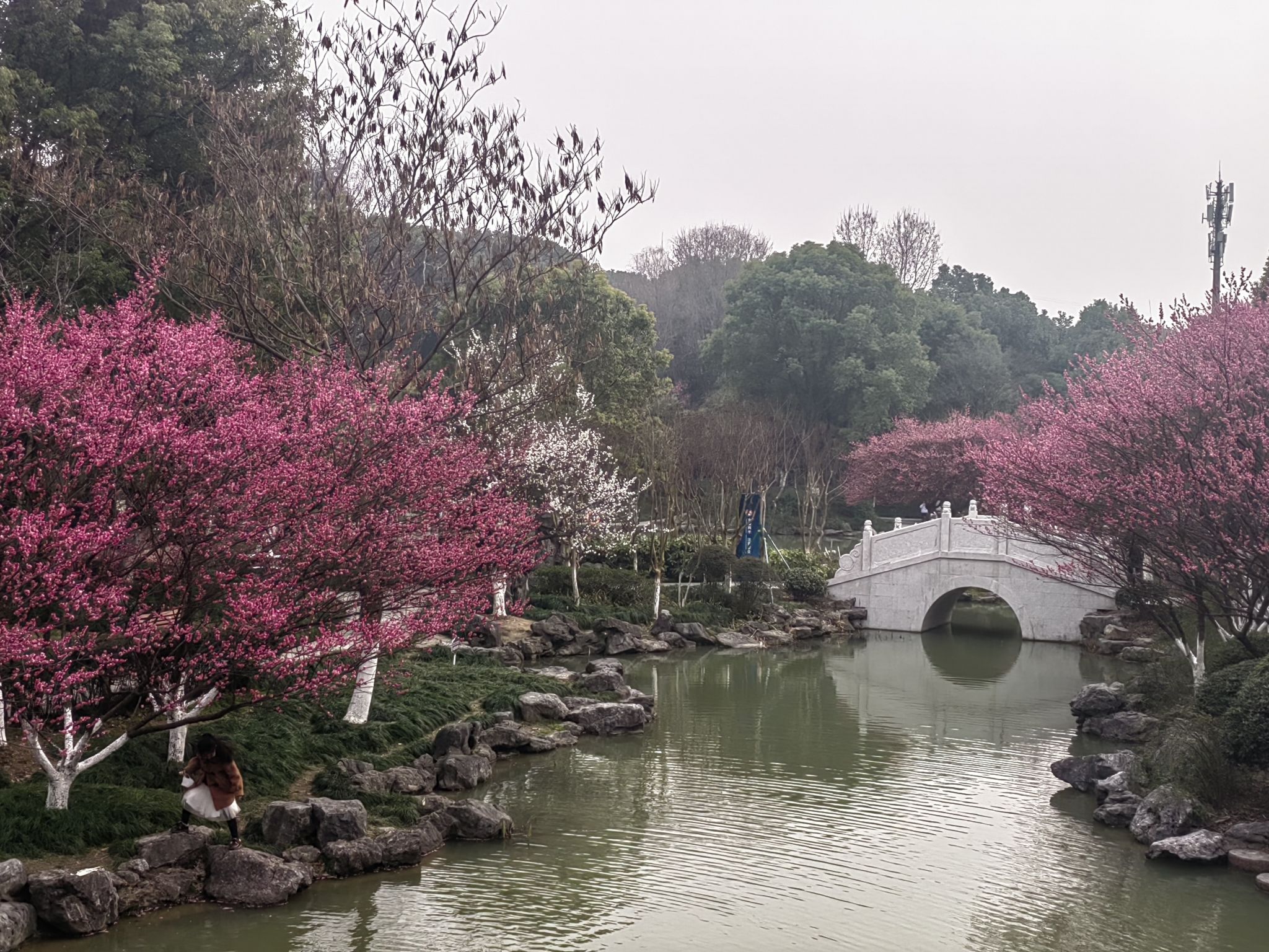 梅园旅行图片 3