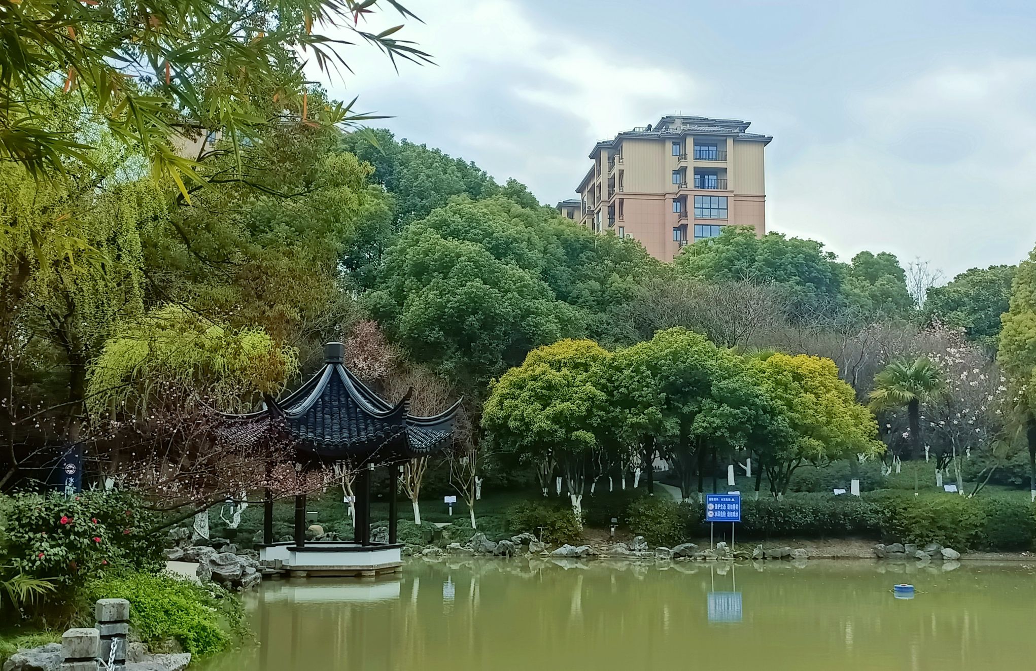 梅园旅行图片 3