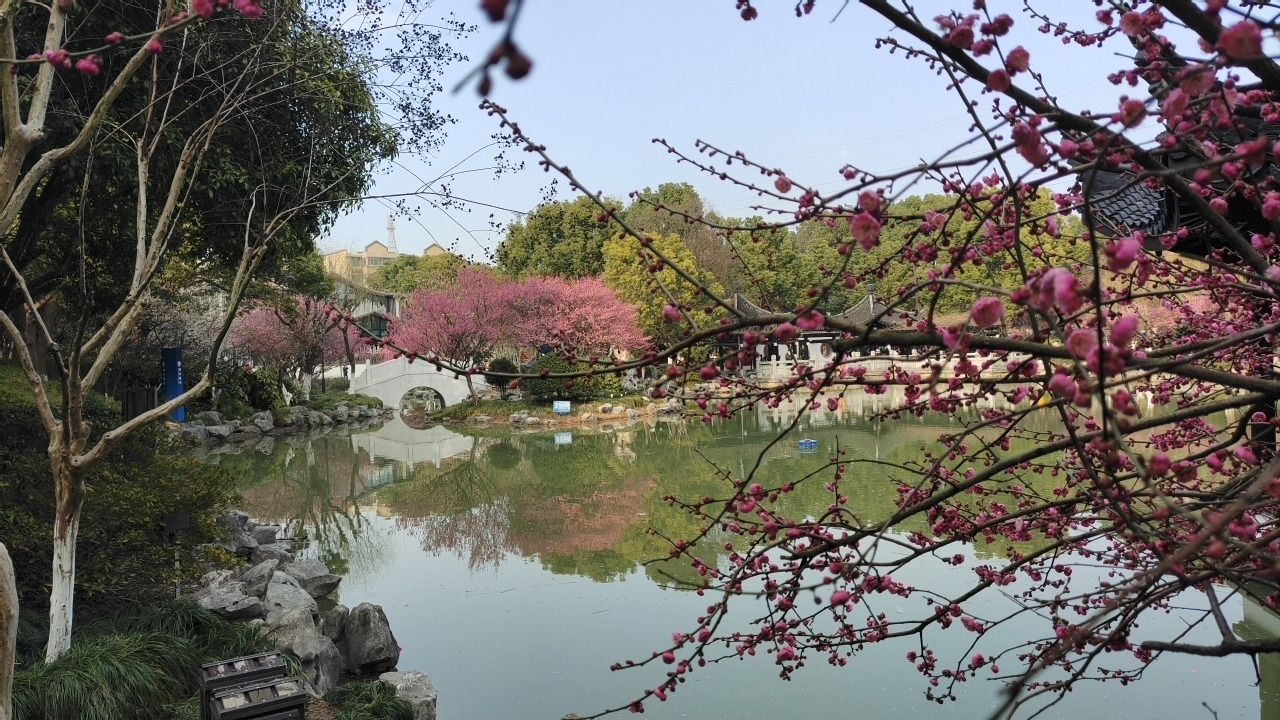 梅园旅行图片 3