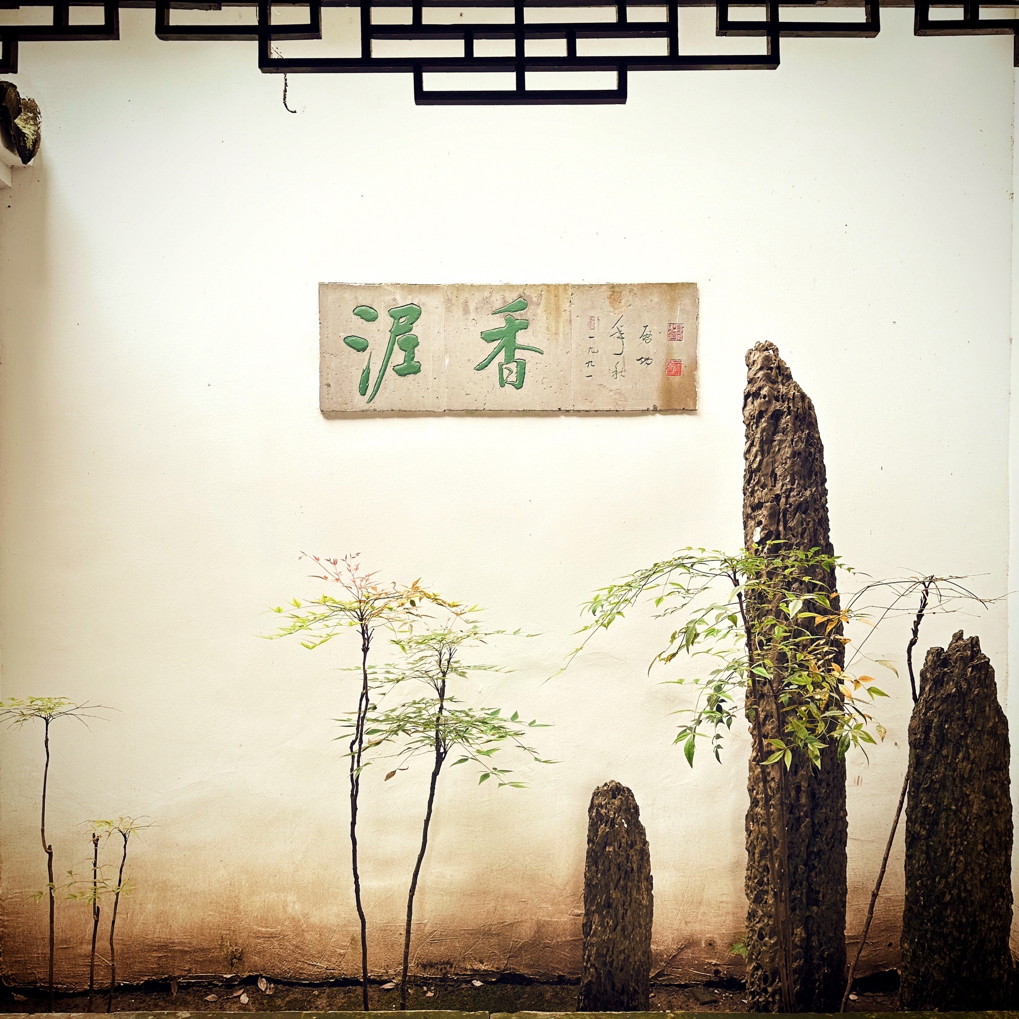 绮园旅行图片 2