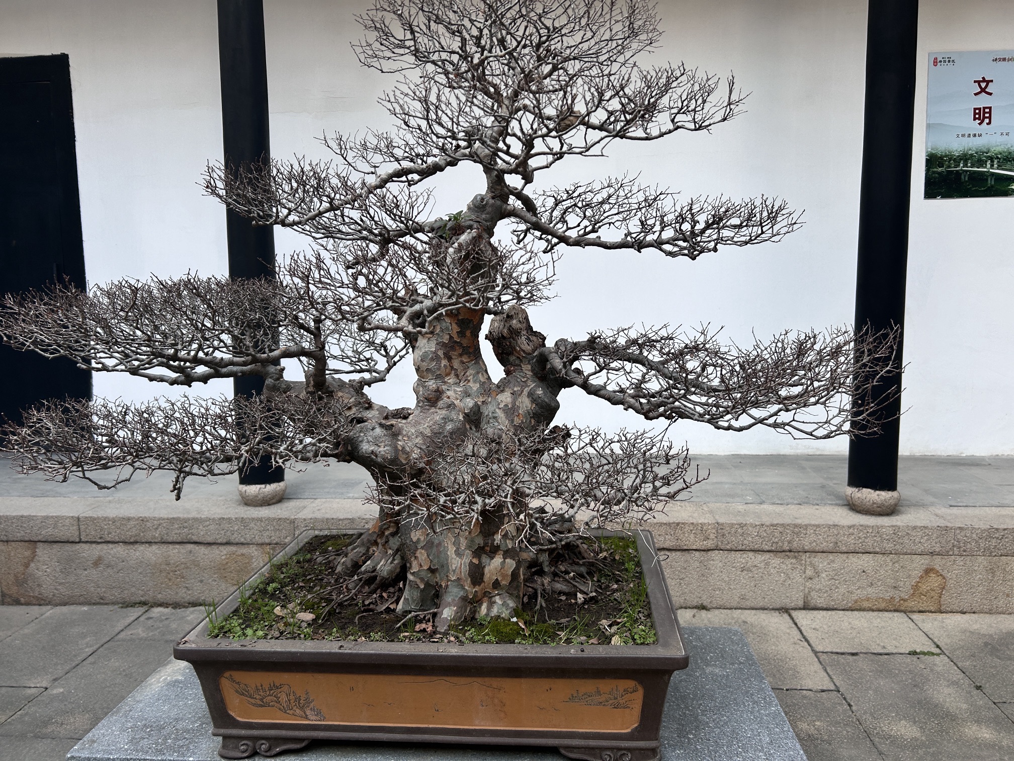 绮园旅行图片 2