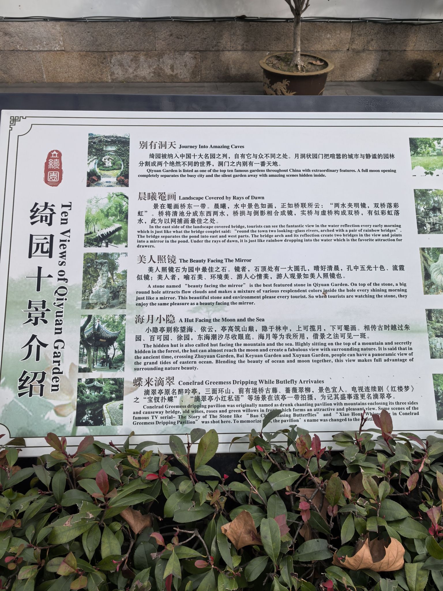 绮园旅行图片 2