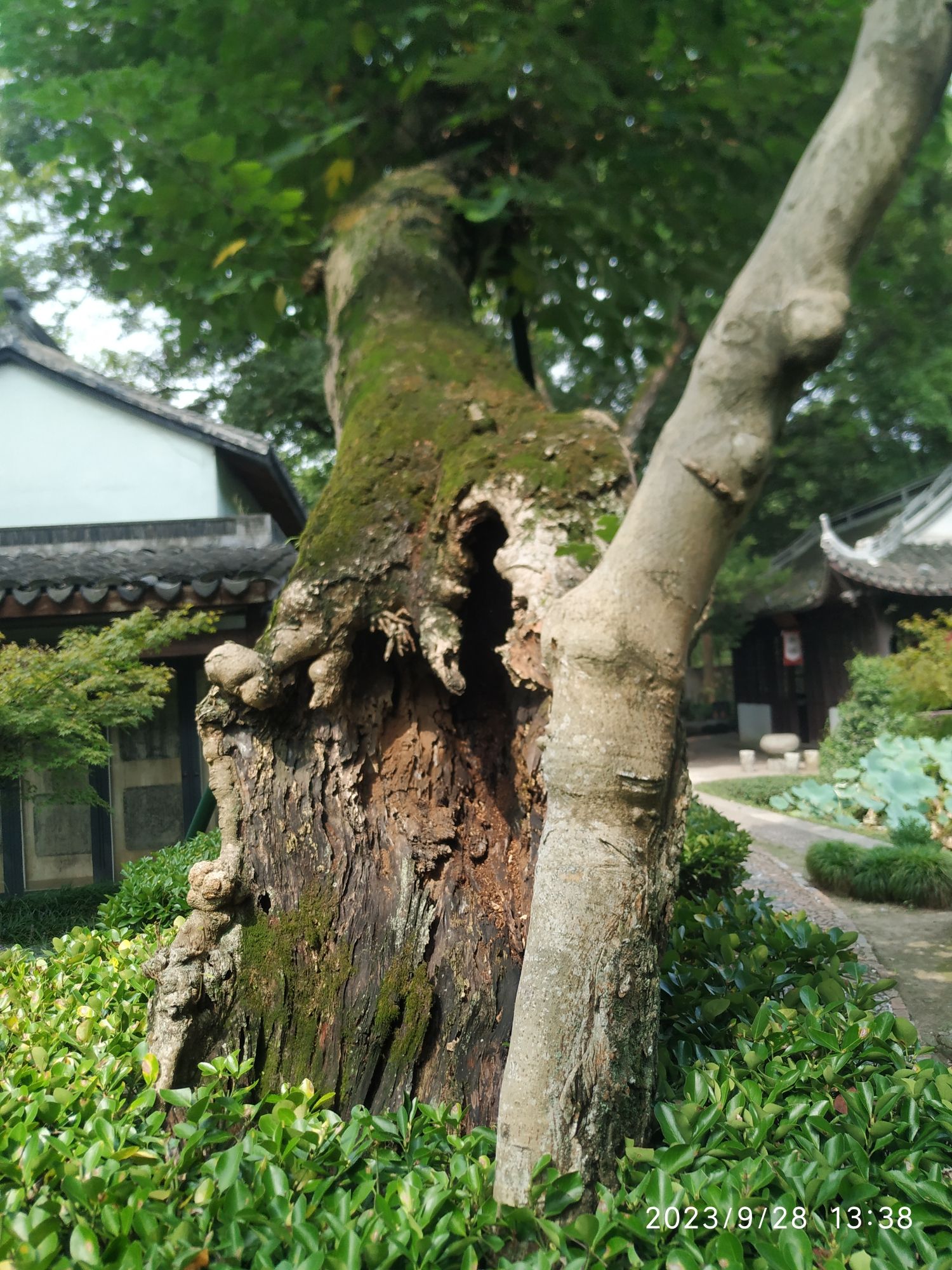 绮园旅行图片 3