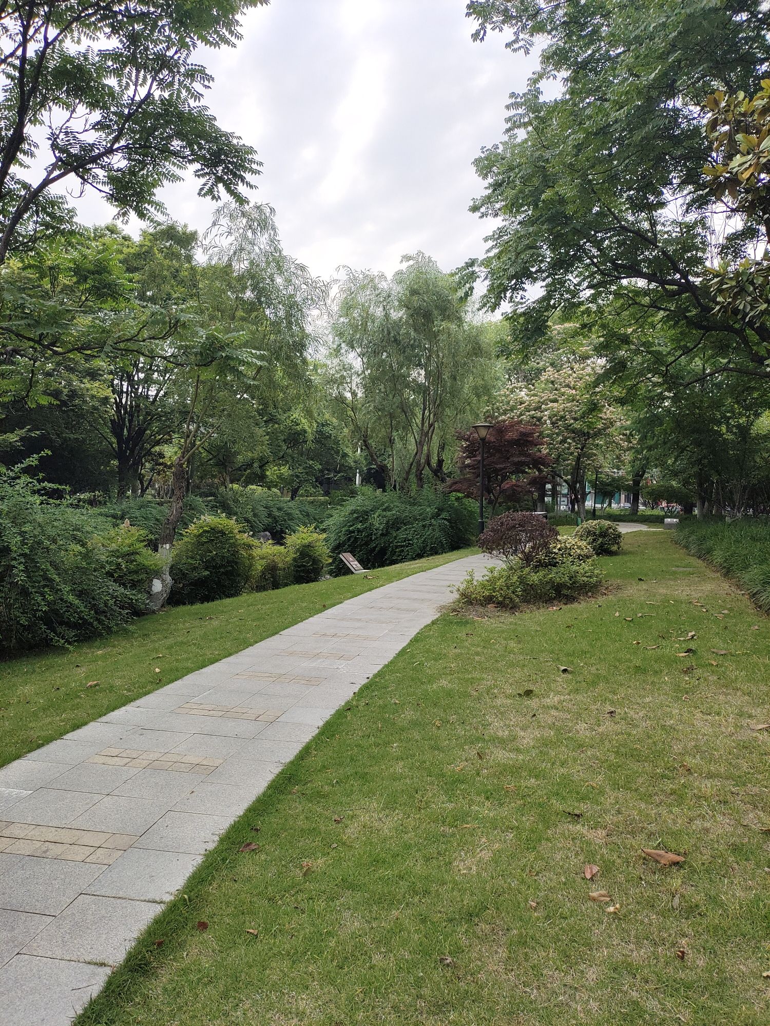 泗洲公园旅行图片 1