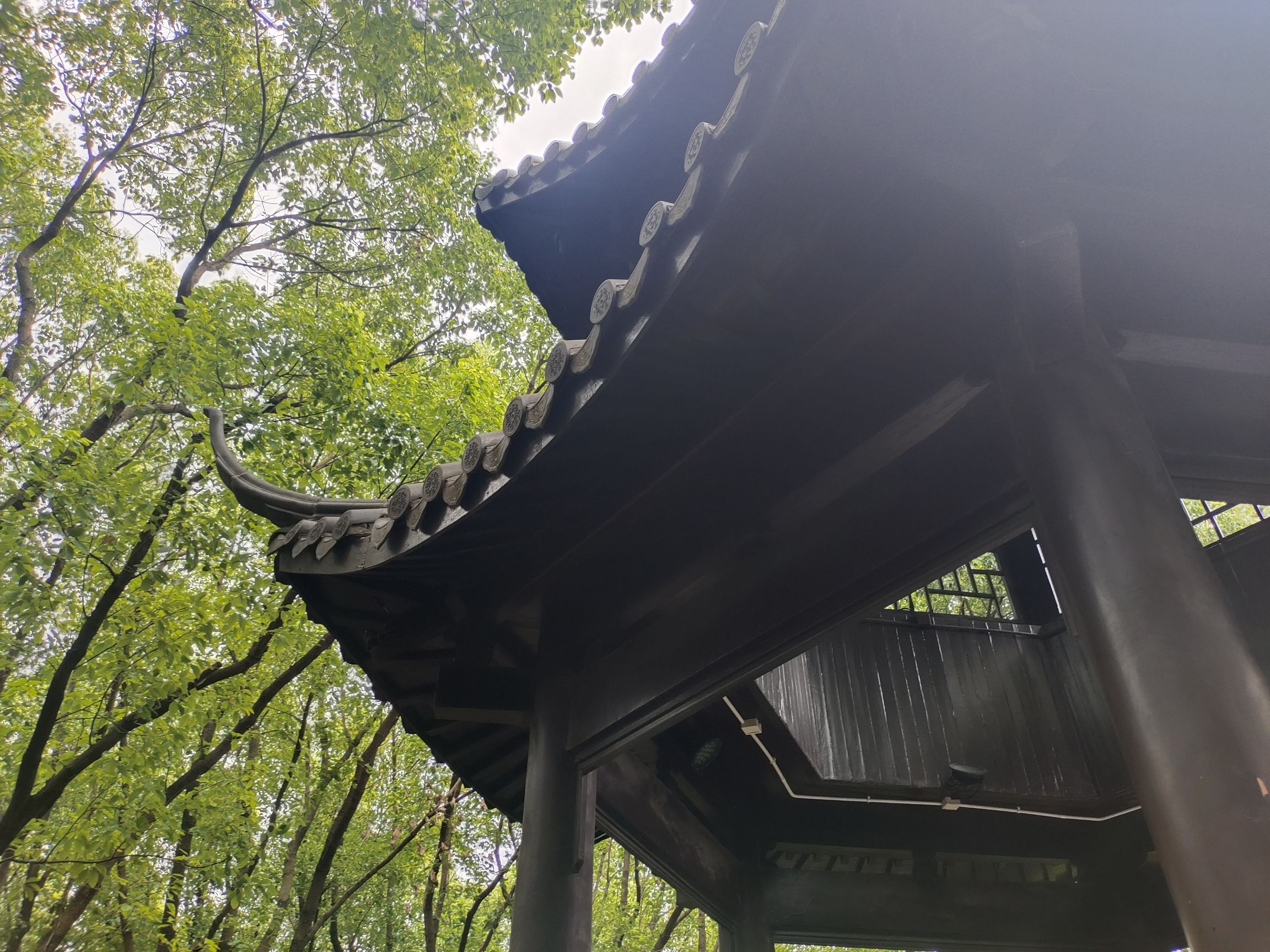 泗洲公园旅行图片 3