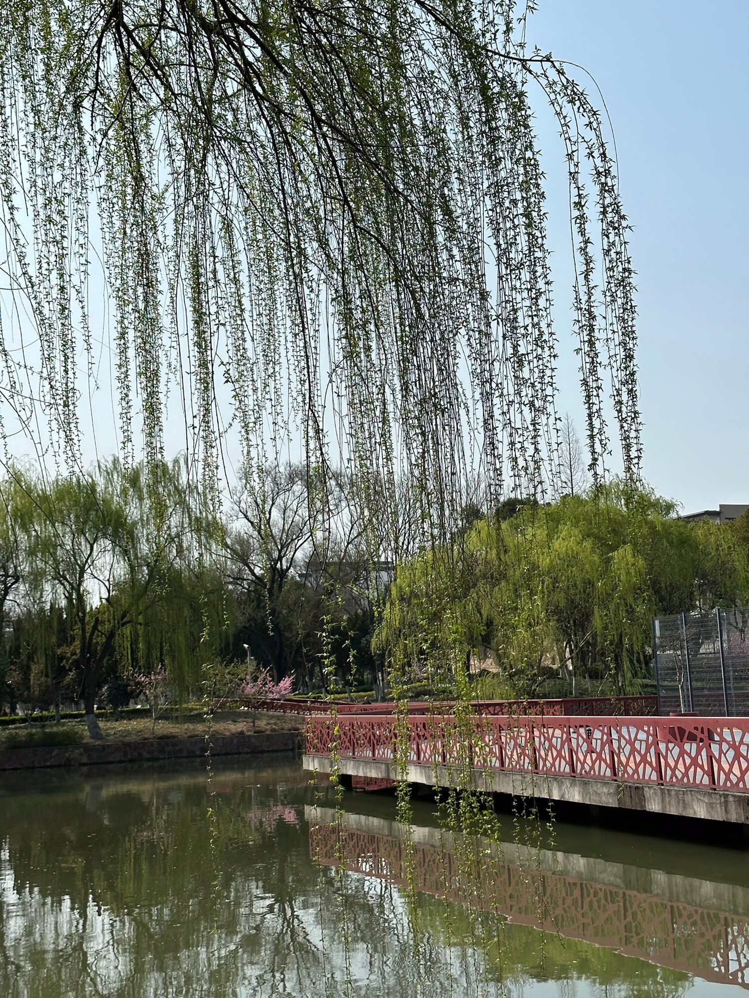 泗洲公园旅行图片 2