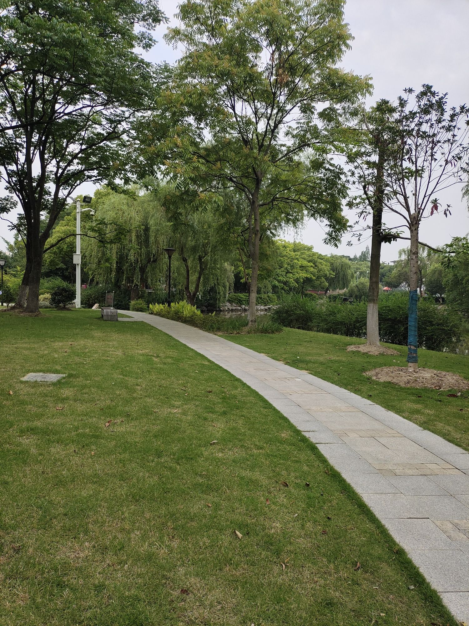 泗洲公园旅行图片 2
