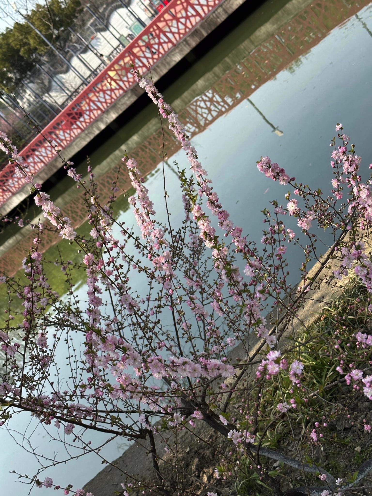 泗洲公园旅行图片 1