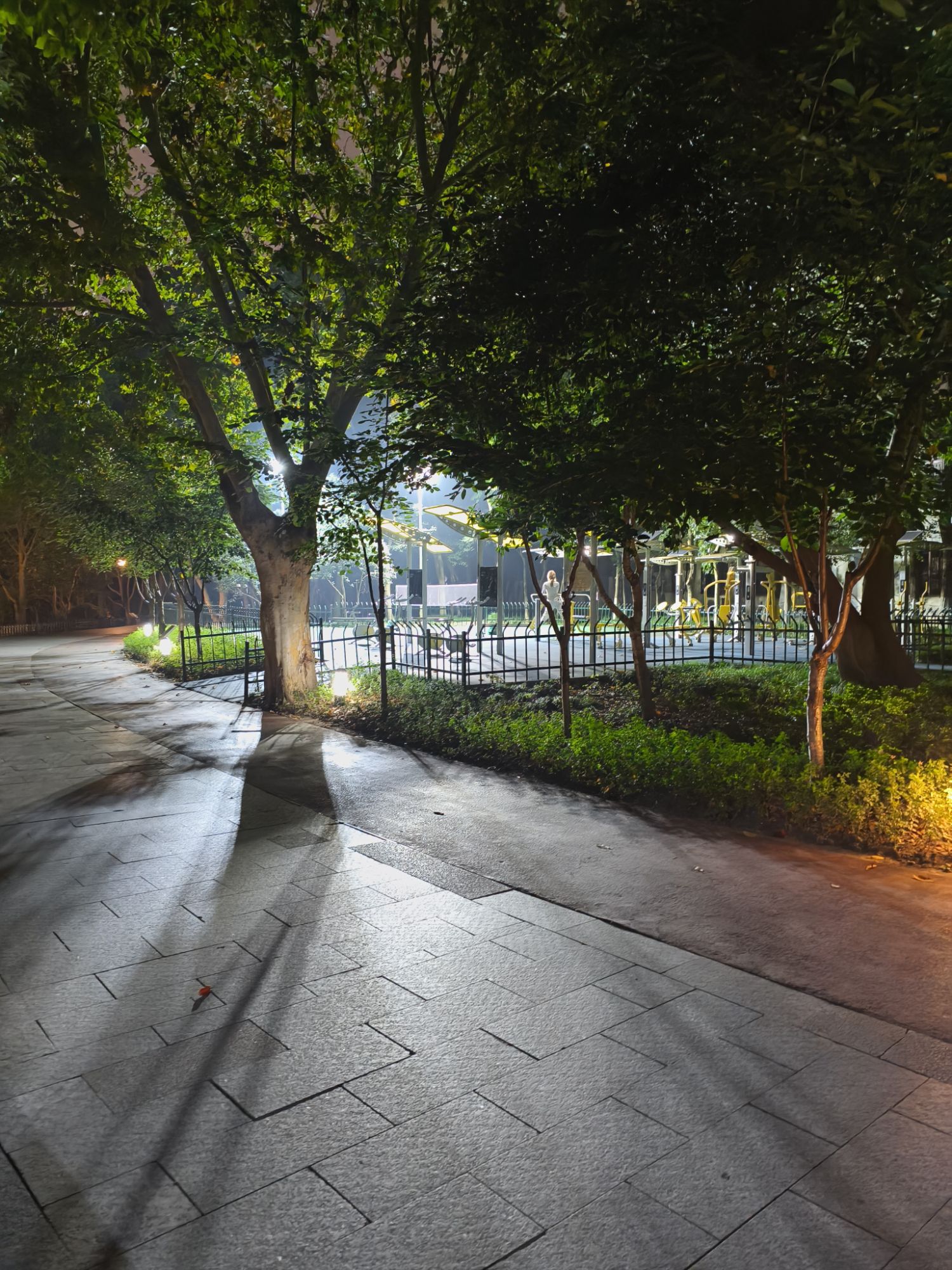 泗洲公园旅行图片 1