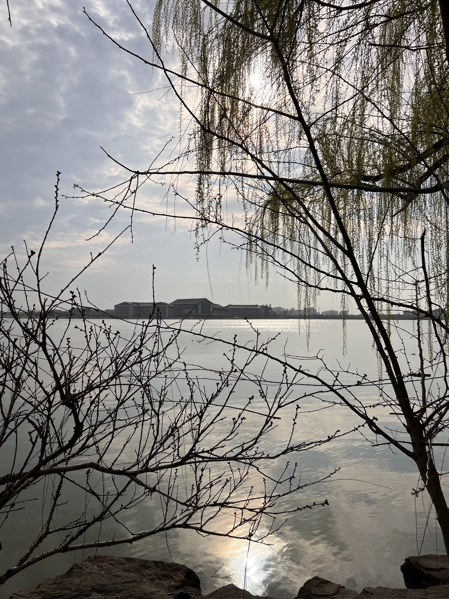 湘家荡旅游度假区旅行图片 2